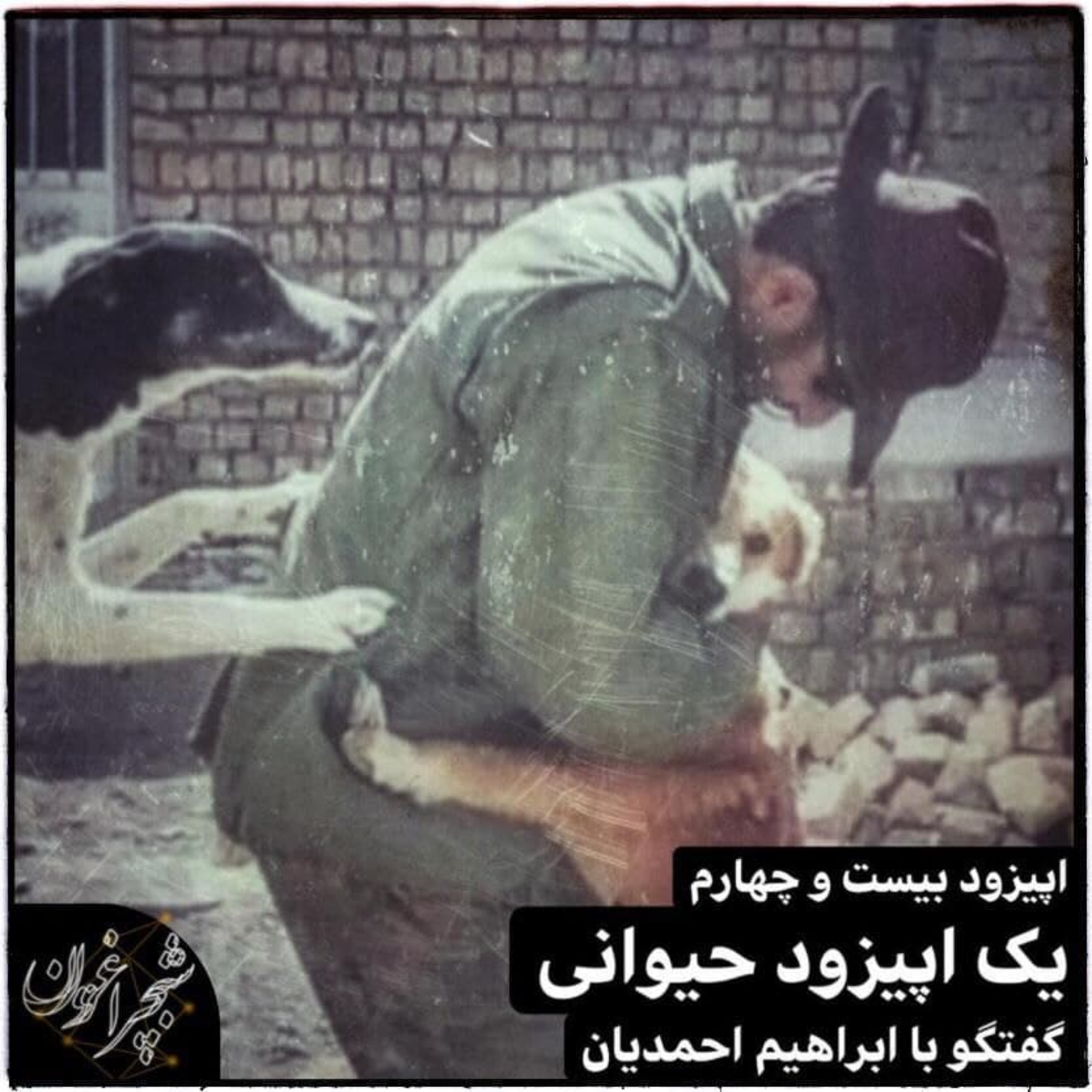 یک اپیزود حیوانی