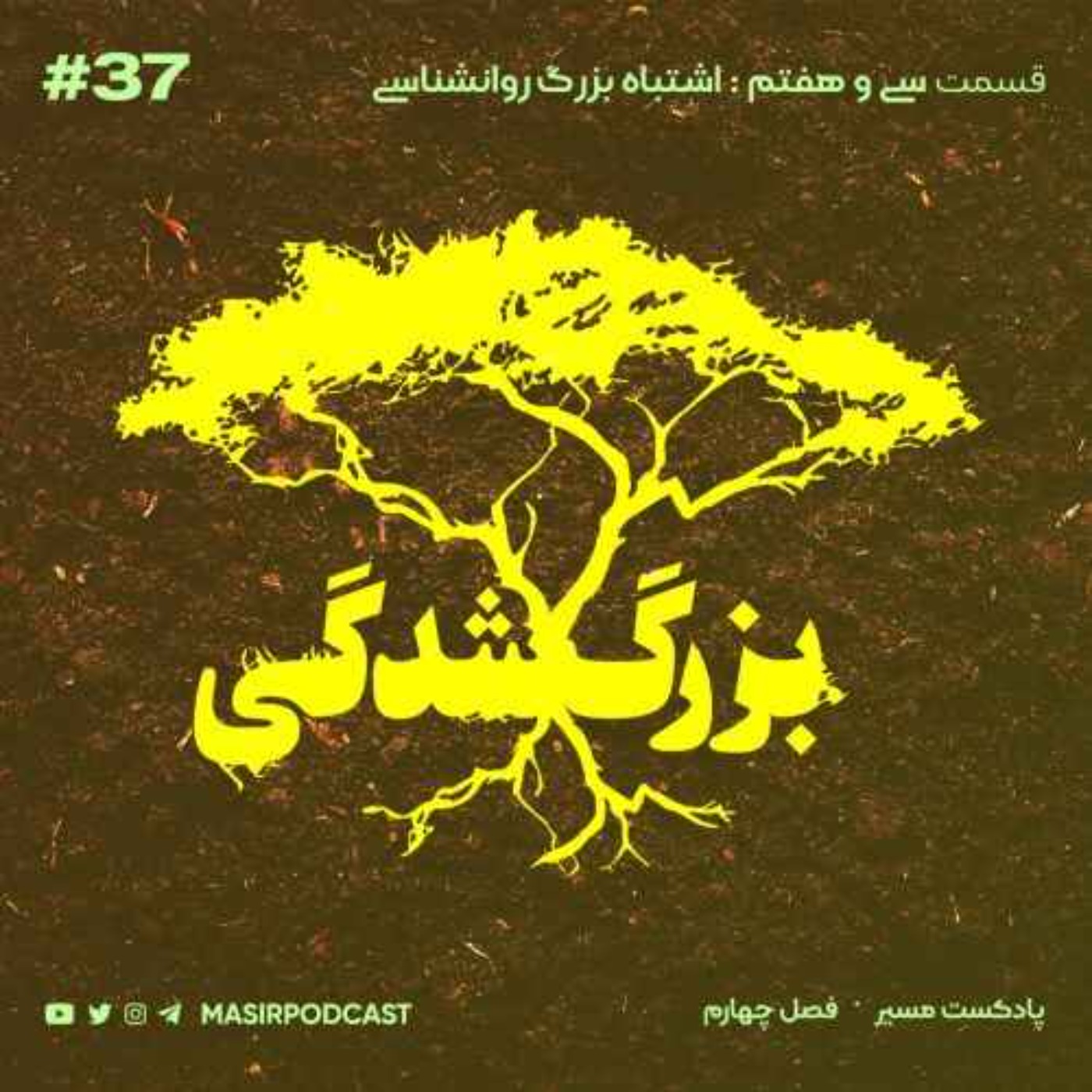 چمع بندی: چرا به سراغ روانشناسی زرد رفتیم؟