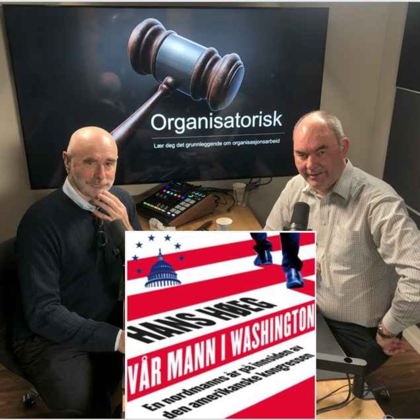 Organisatorisk