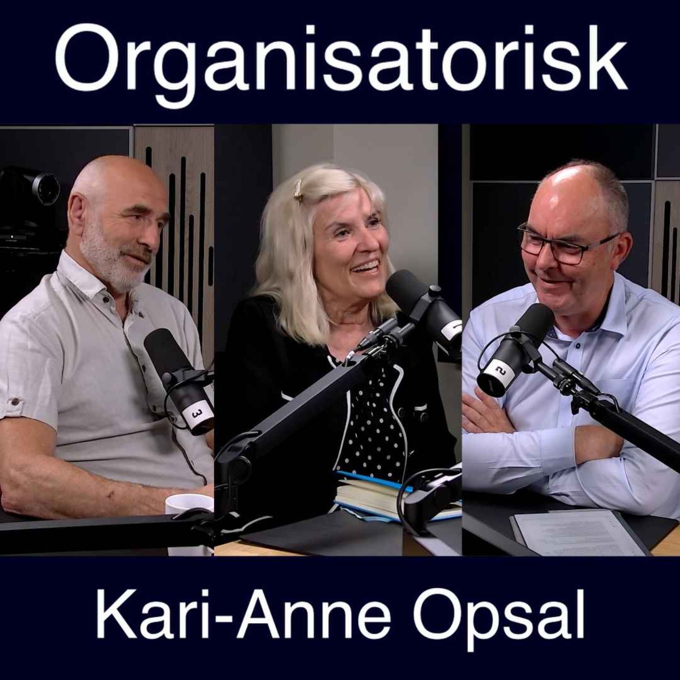 Organisatorisk