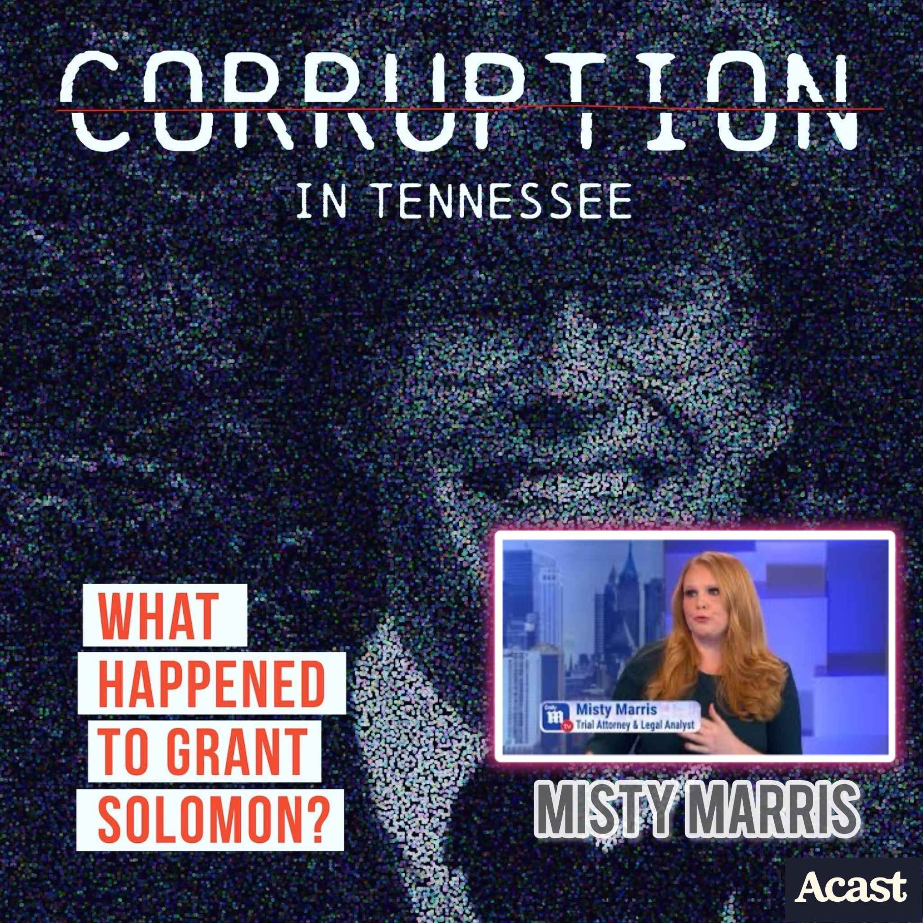 cover art for Trial attorney and TV Legal Analyst MISTY MARRIS weighs in on past litigation & more...