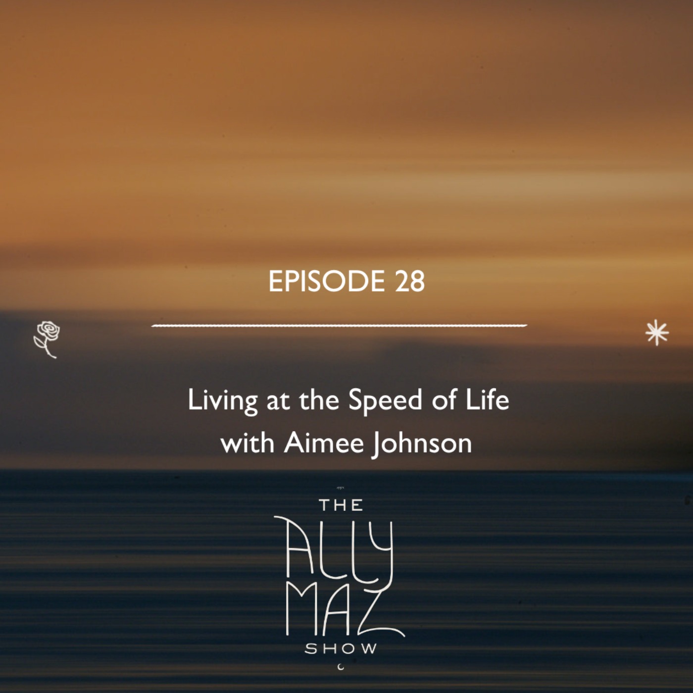Living at the Speed of Life  with Aimee Johnson