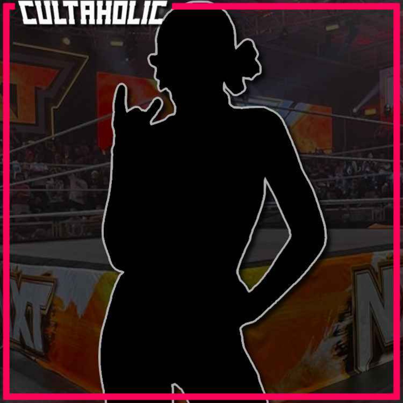 Serious Injury During WWE Taping - Elimination Chamber Plans SCRAPPED? - CM Punk Vs Stone Cold BACK ON? episode artwork