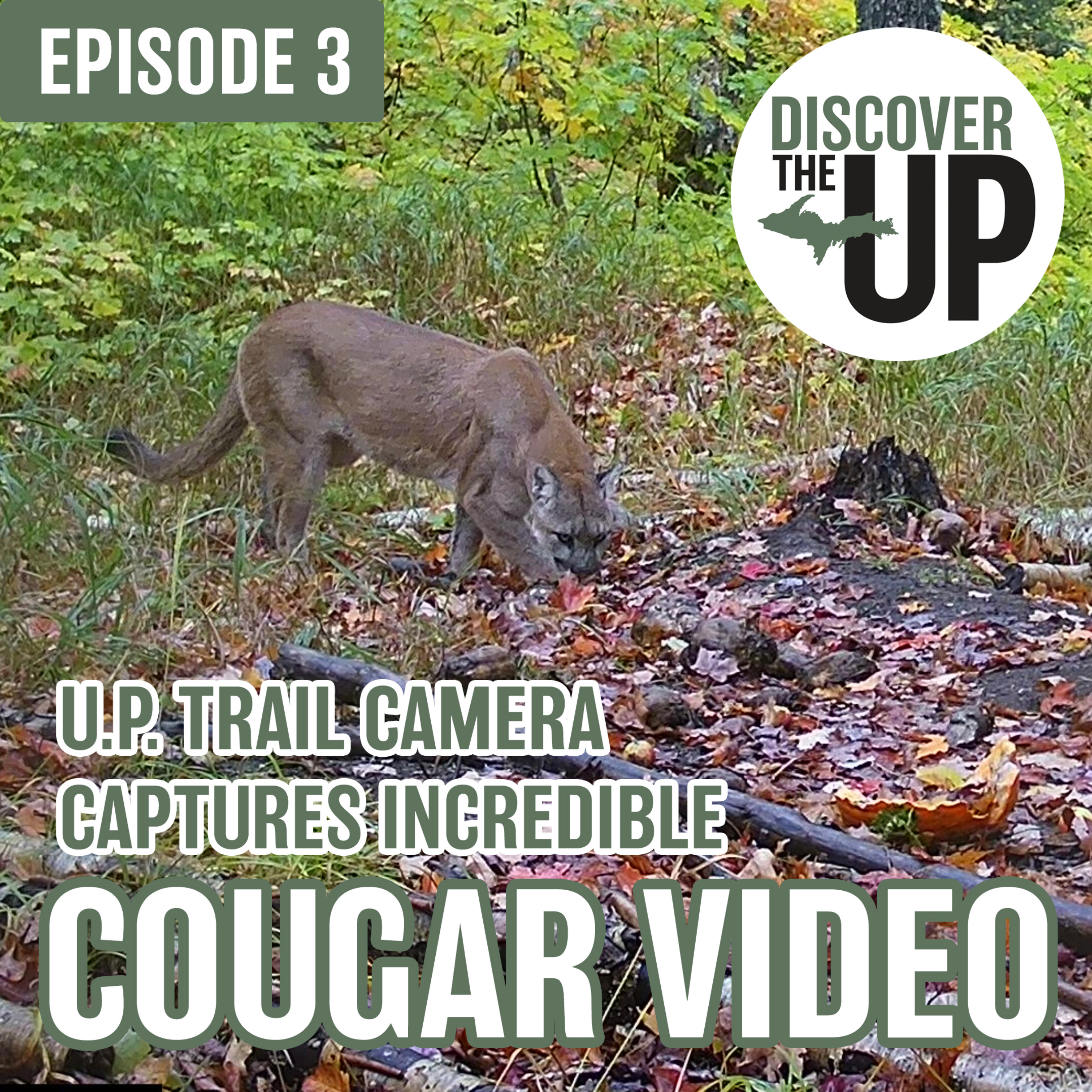 Discover the U.P.