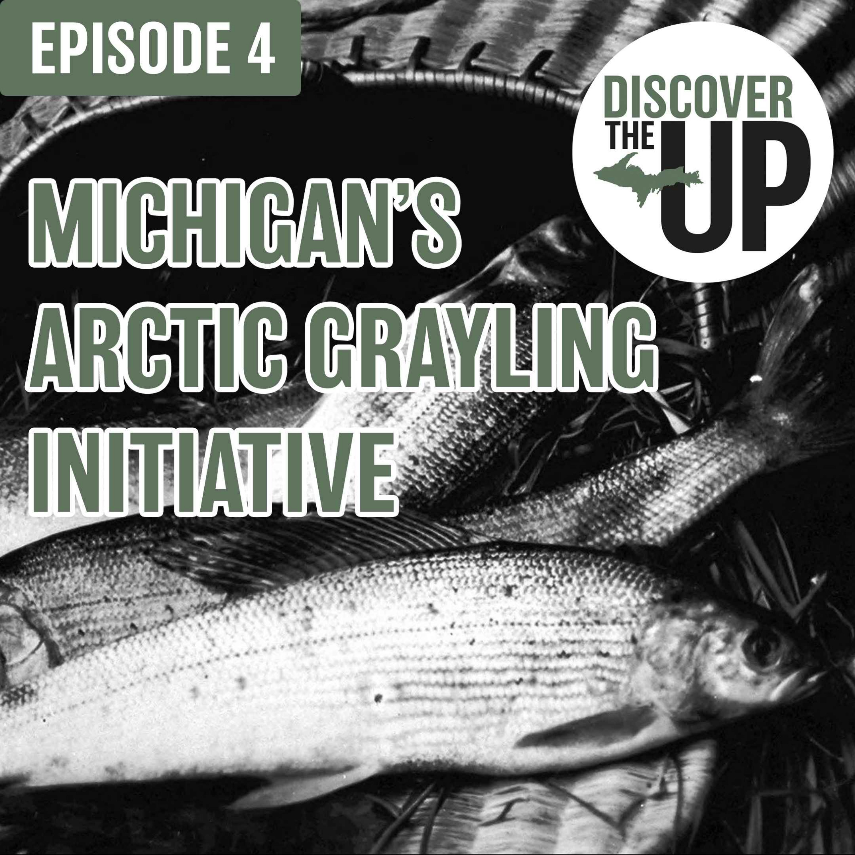 Discover the U.P.