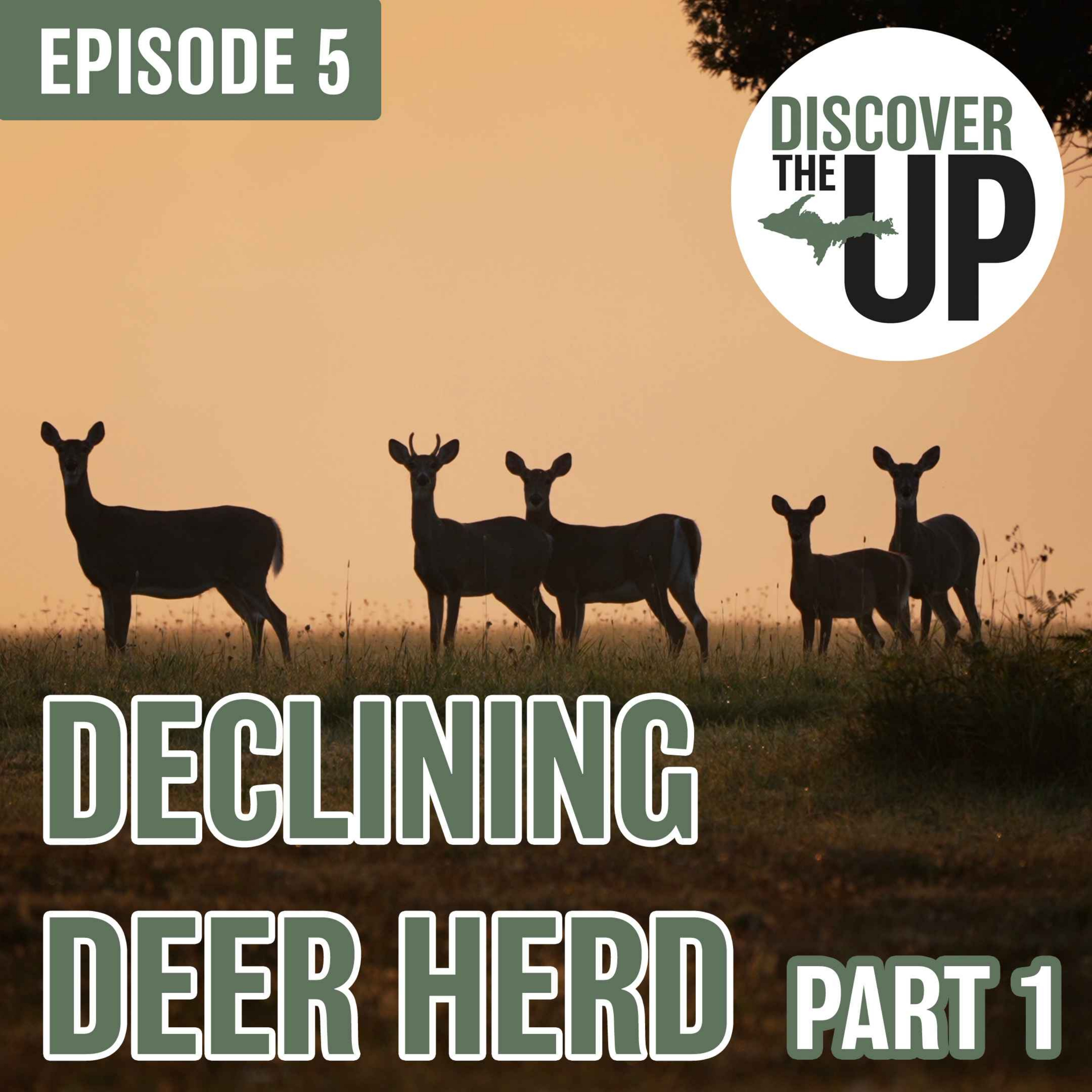 Declining Deer Herd Part 1