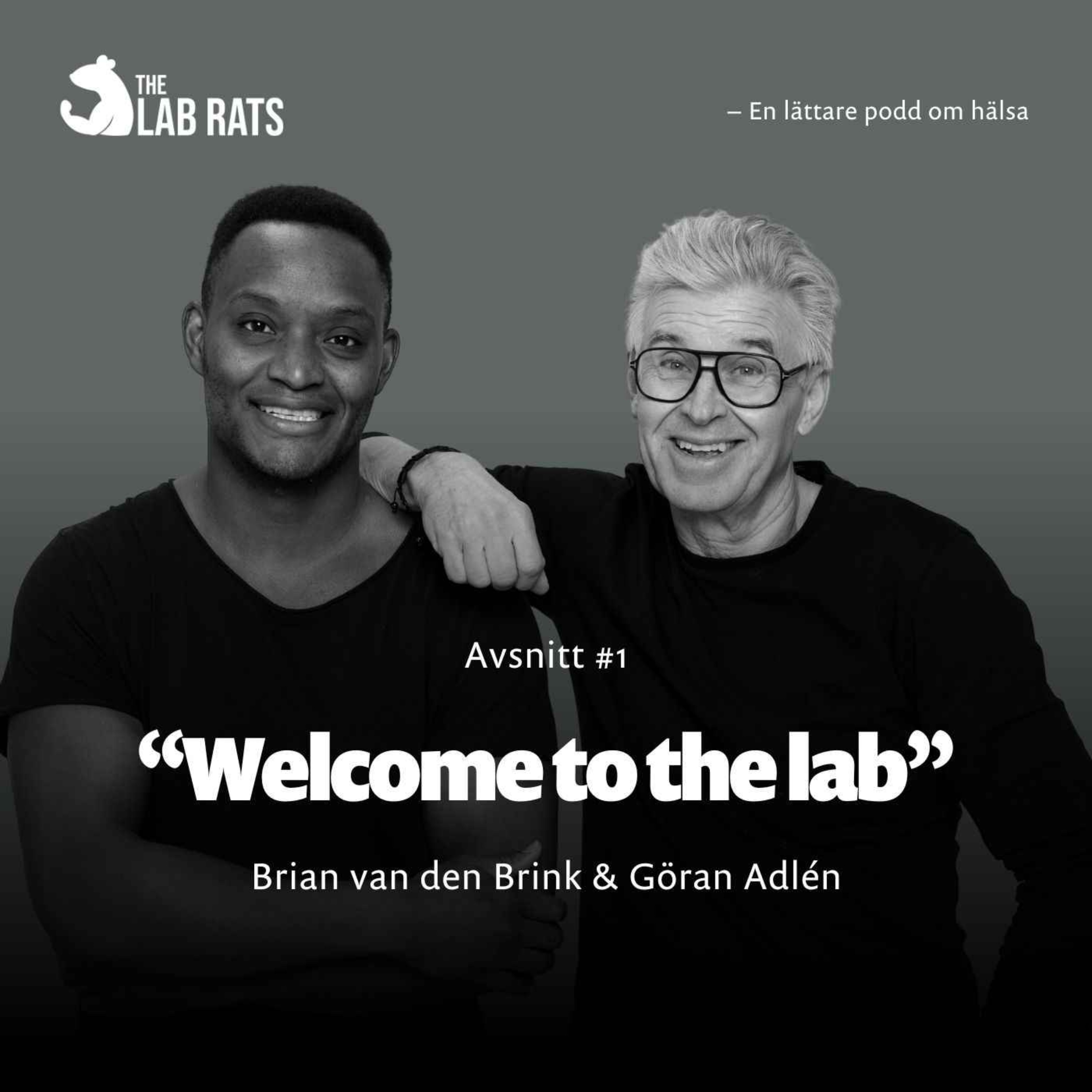 The Lab Rats