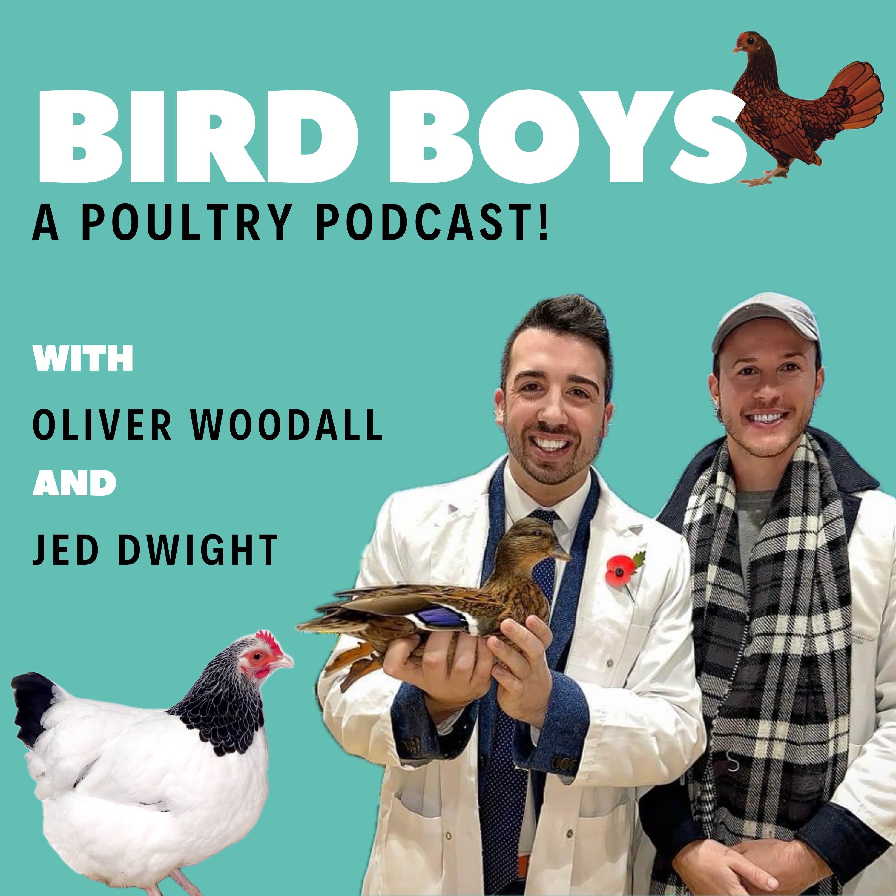 BirdBoys - A Poultry Podcast!
