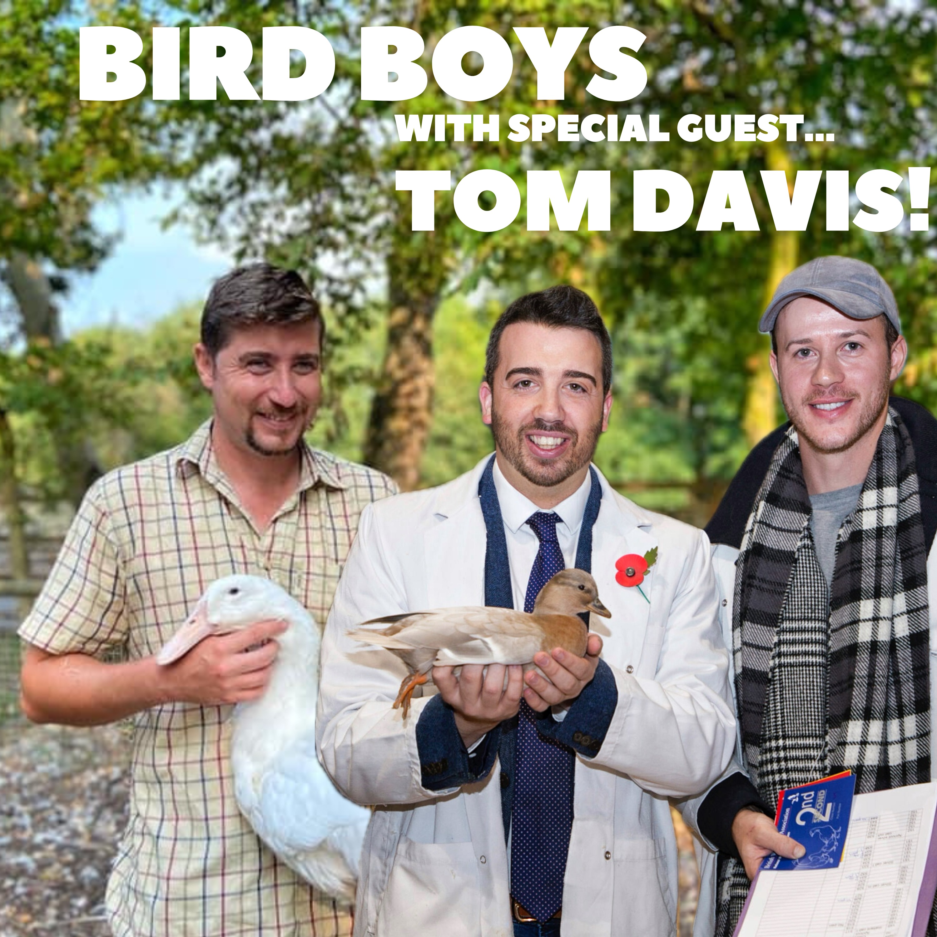 BirdBoys - A Poultry Podcast!