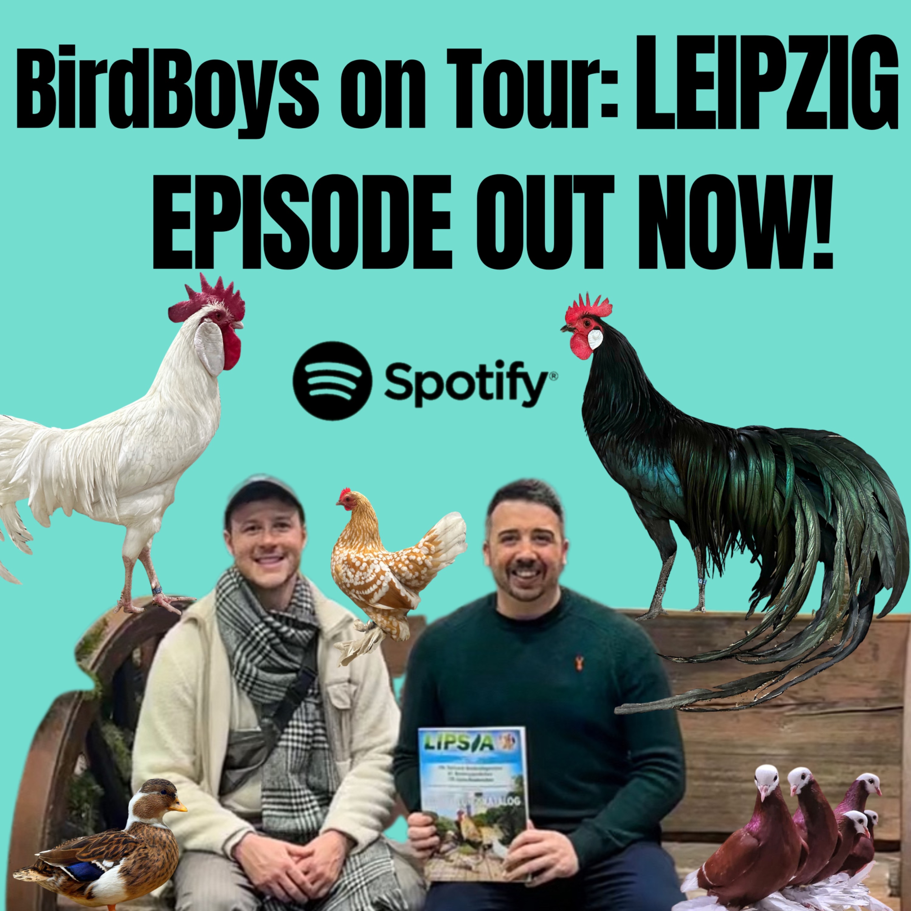 BirdBoys on Tour: Leipzig! 
