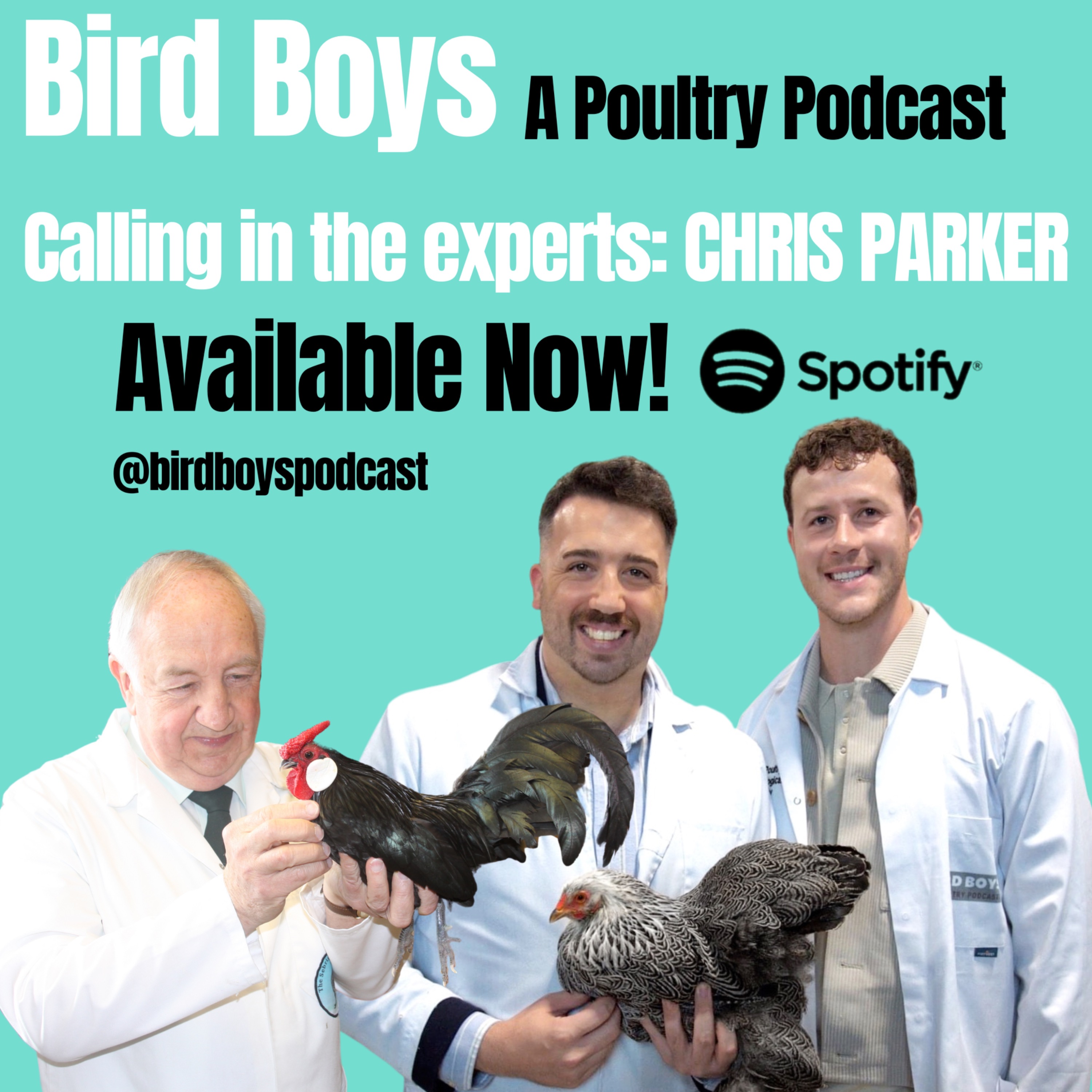 Calling in the experts: Chris Parker