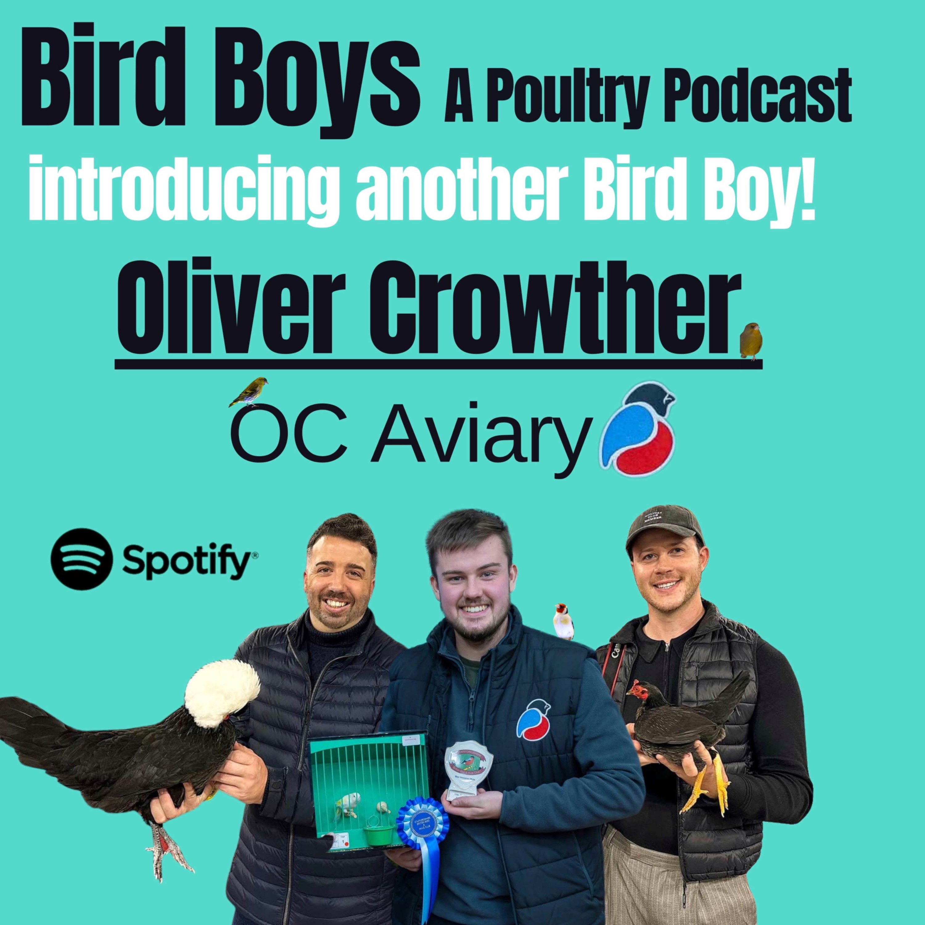Introducing another Bird Boy - Oliver Crowther (OC Aviary)