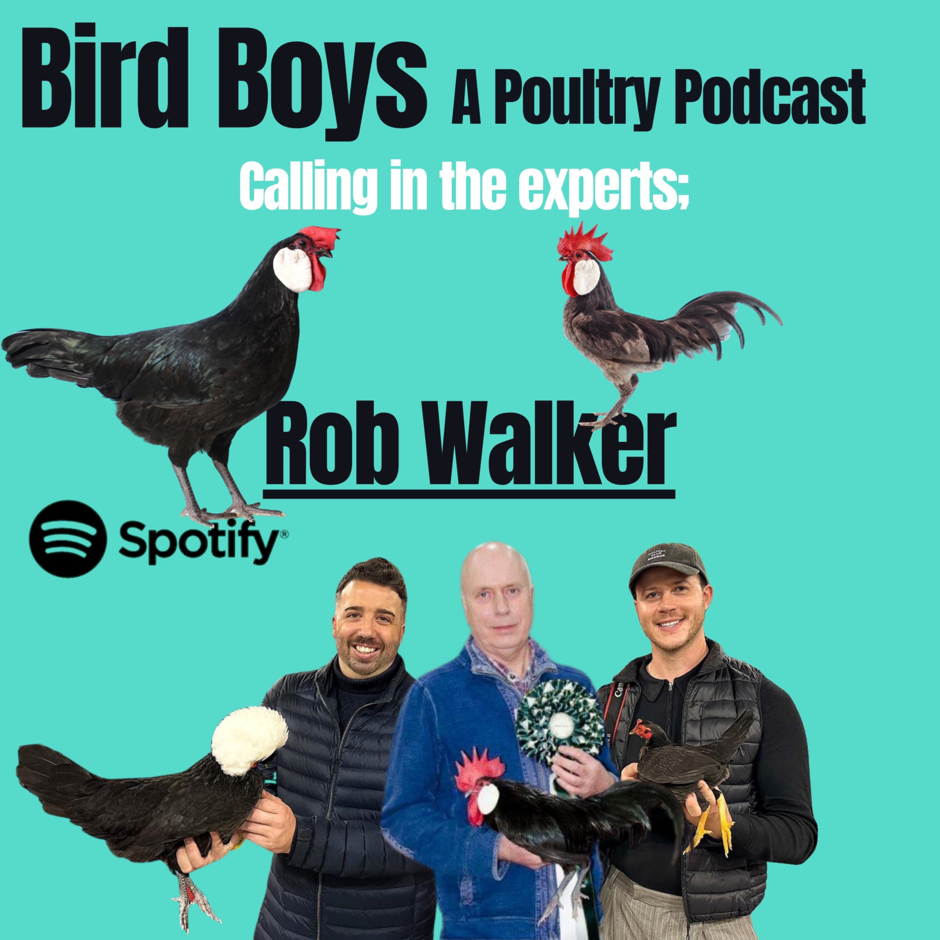 Calling in the experts: Rob Walker