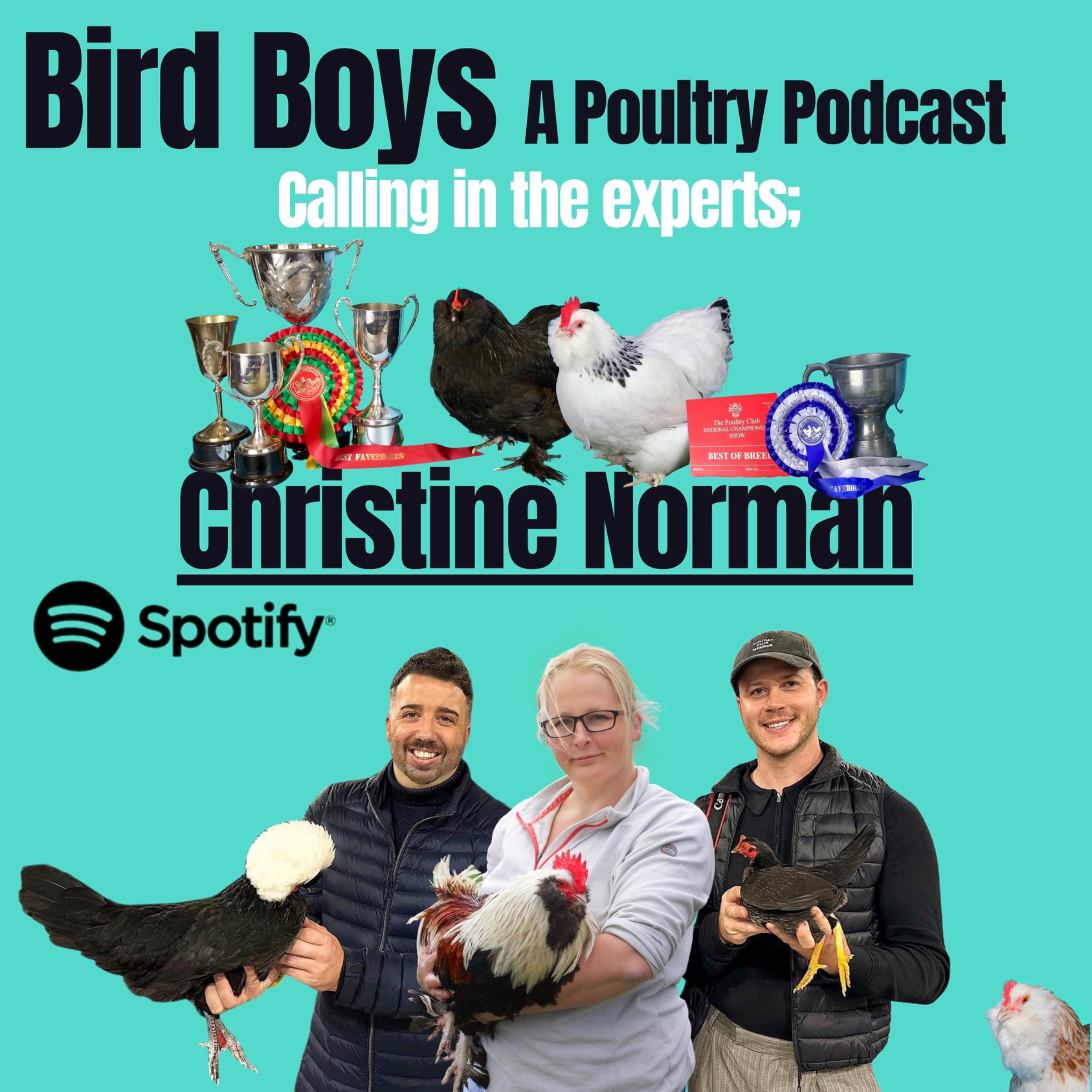 Calling in the experts: Christine Norman