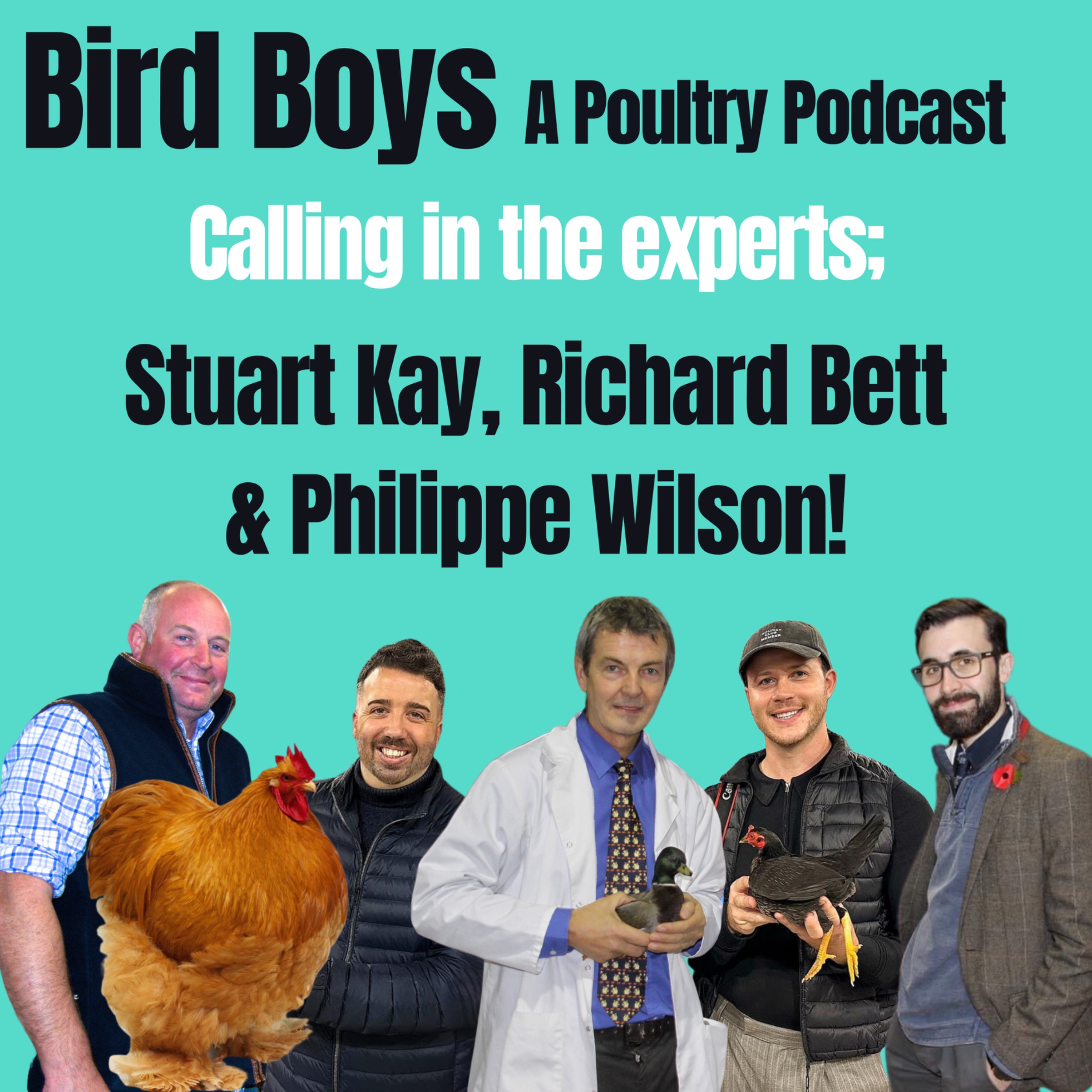 Calling in the experts: Stuart Kay, Richard Bett and Philippe Wilson!