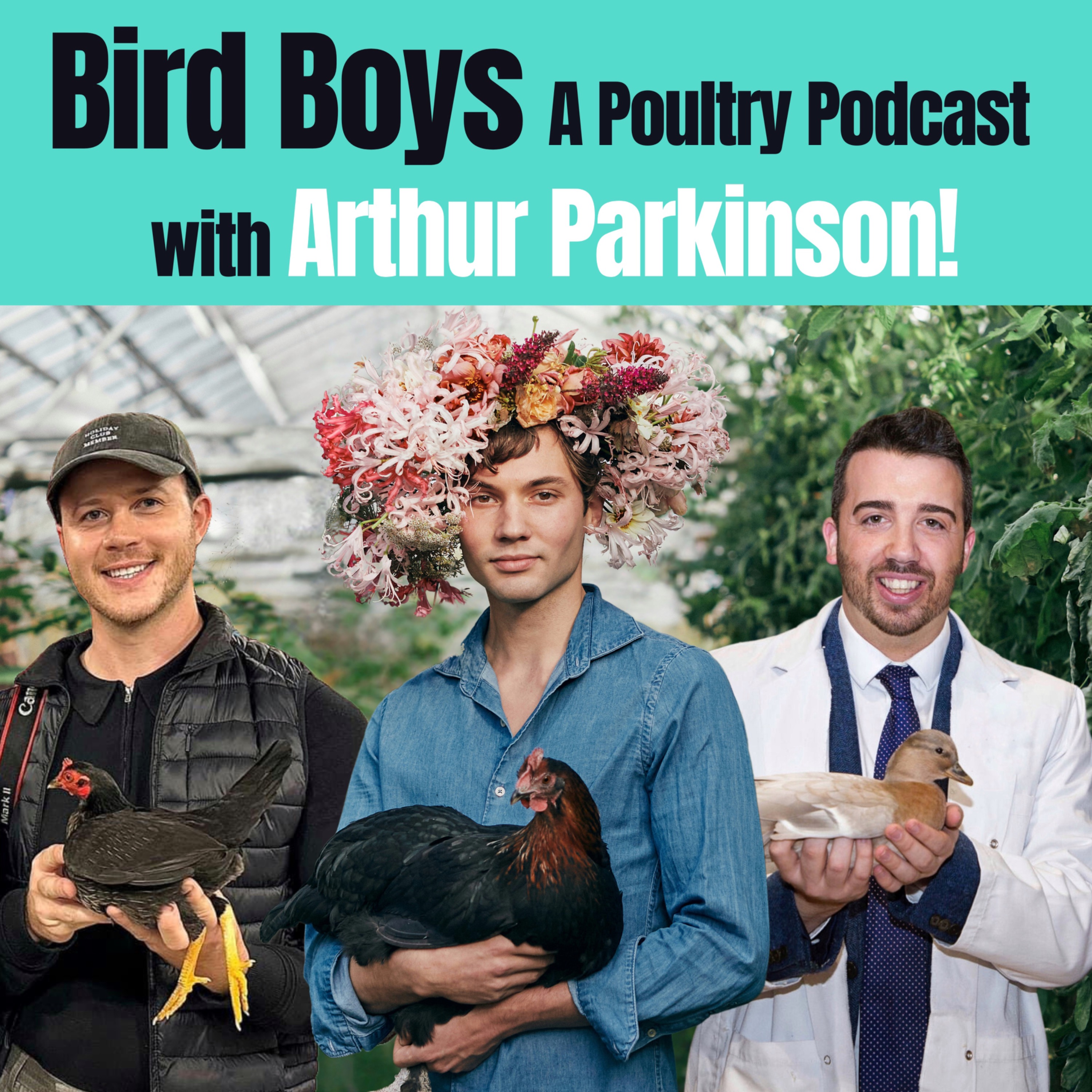 BirdBoys - A Poultry Podcast!