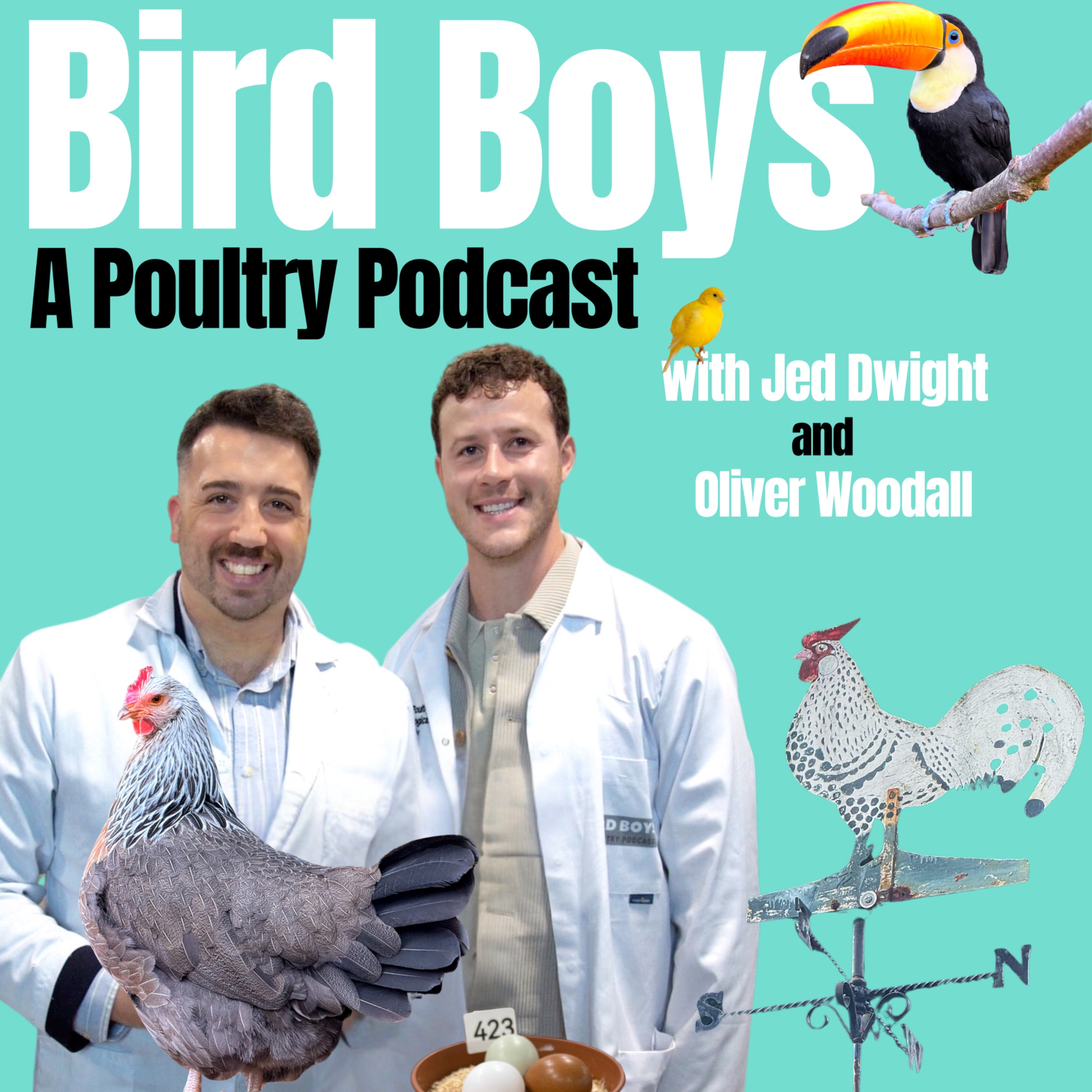 Weekend Round-up - Wimpole, Bird World, Newark & More!