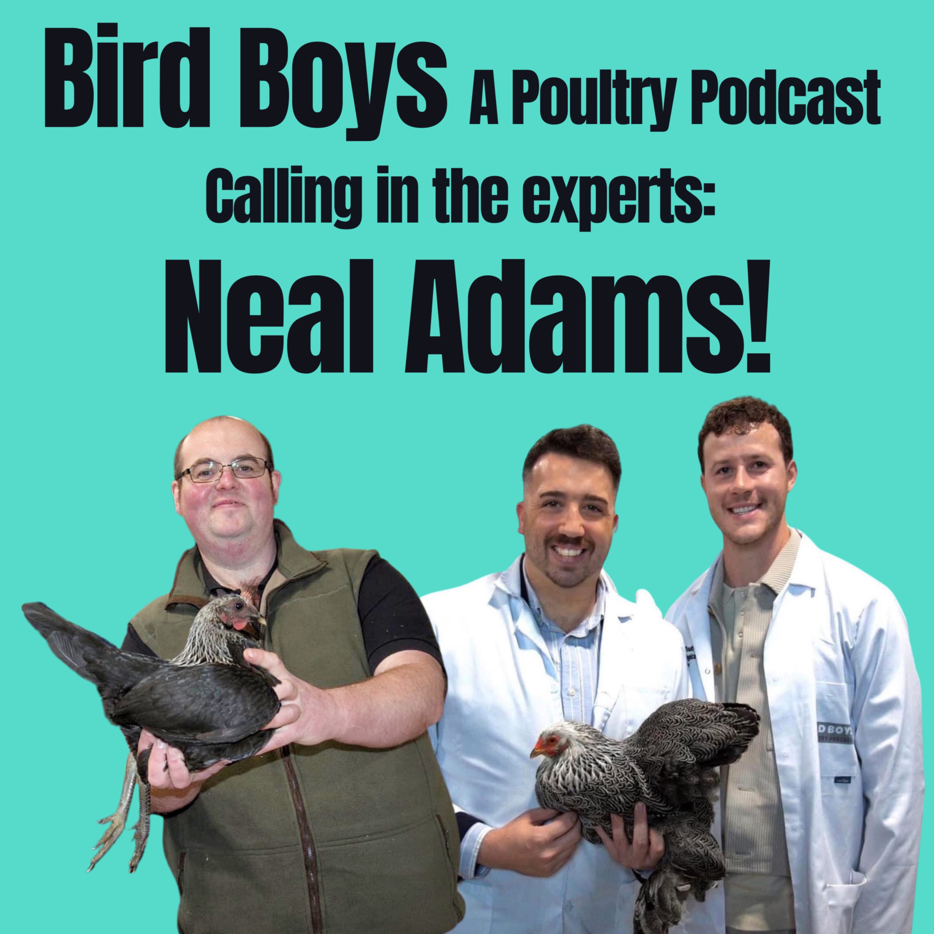 BirdBoys - A Poultry Podcast!