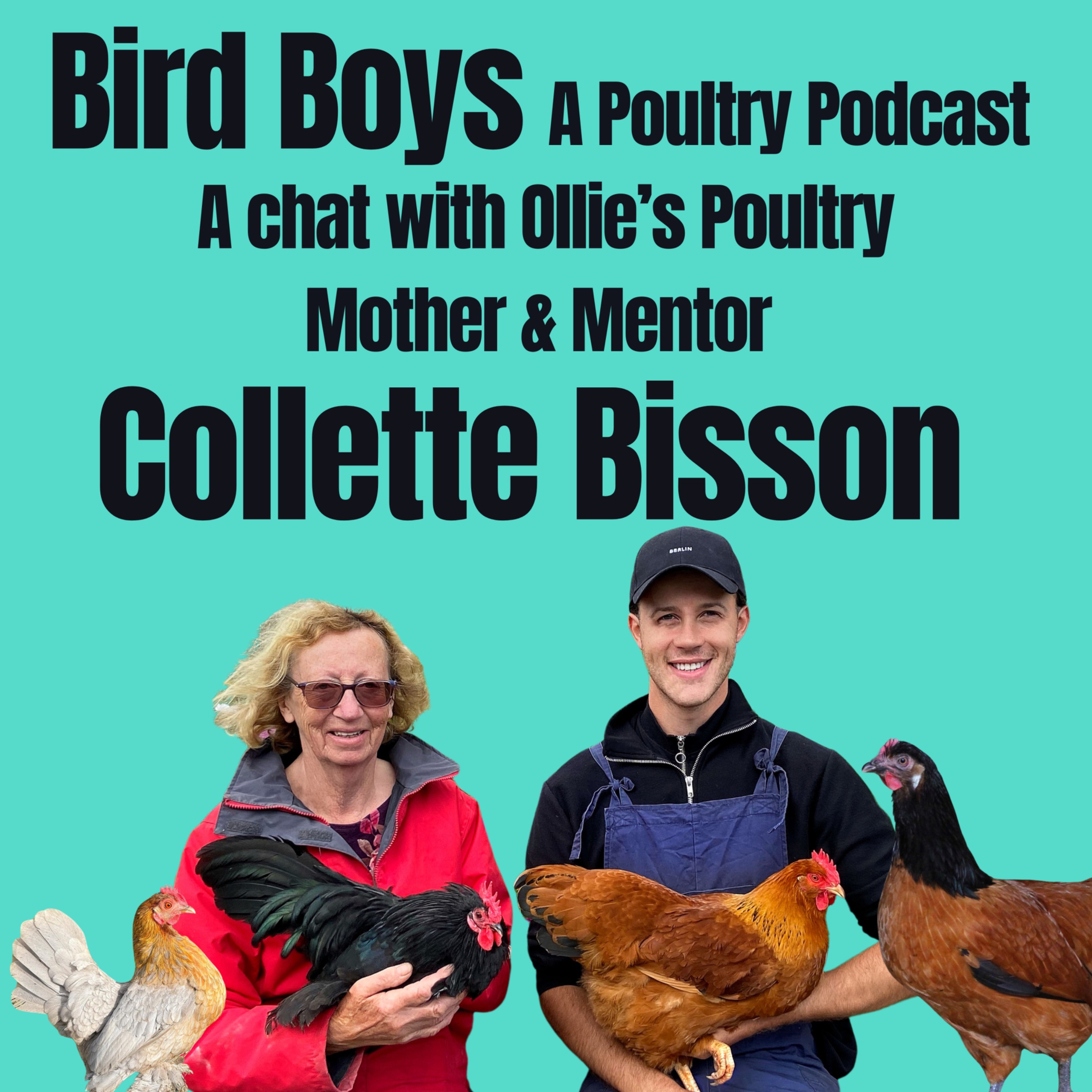 BirdBoys - A Poultry Podcast!