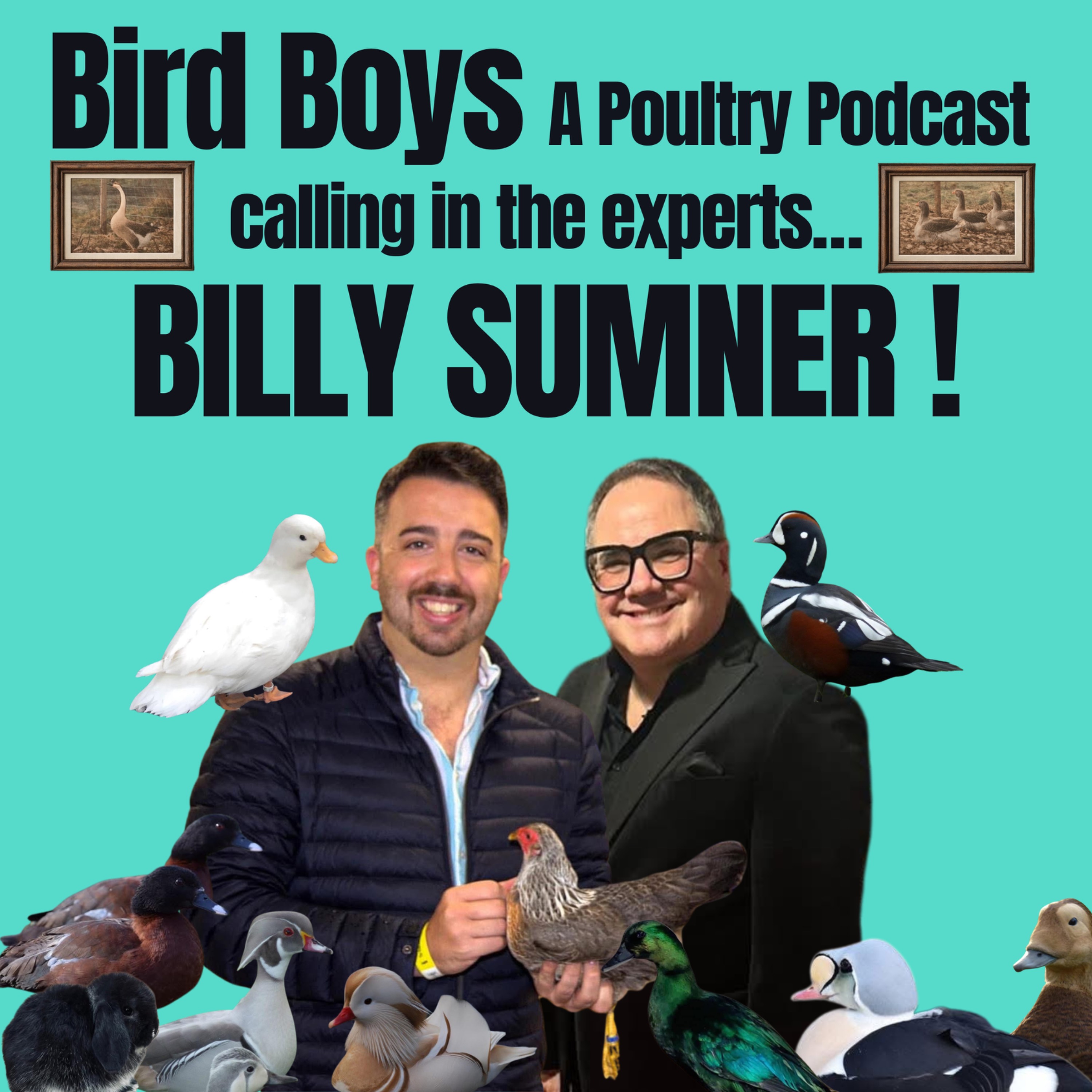 Calling in the experts…Billy Sumner!