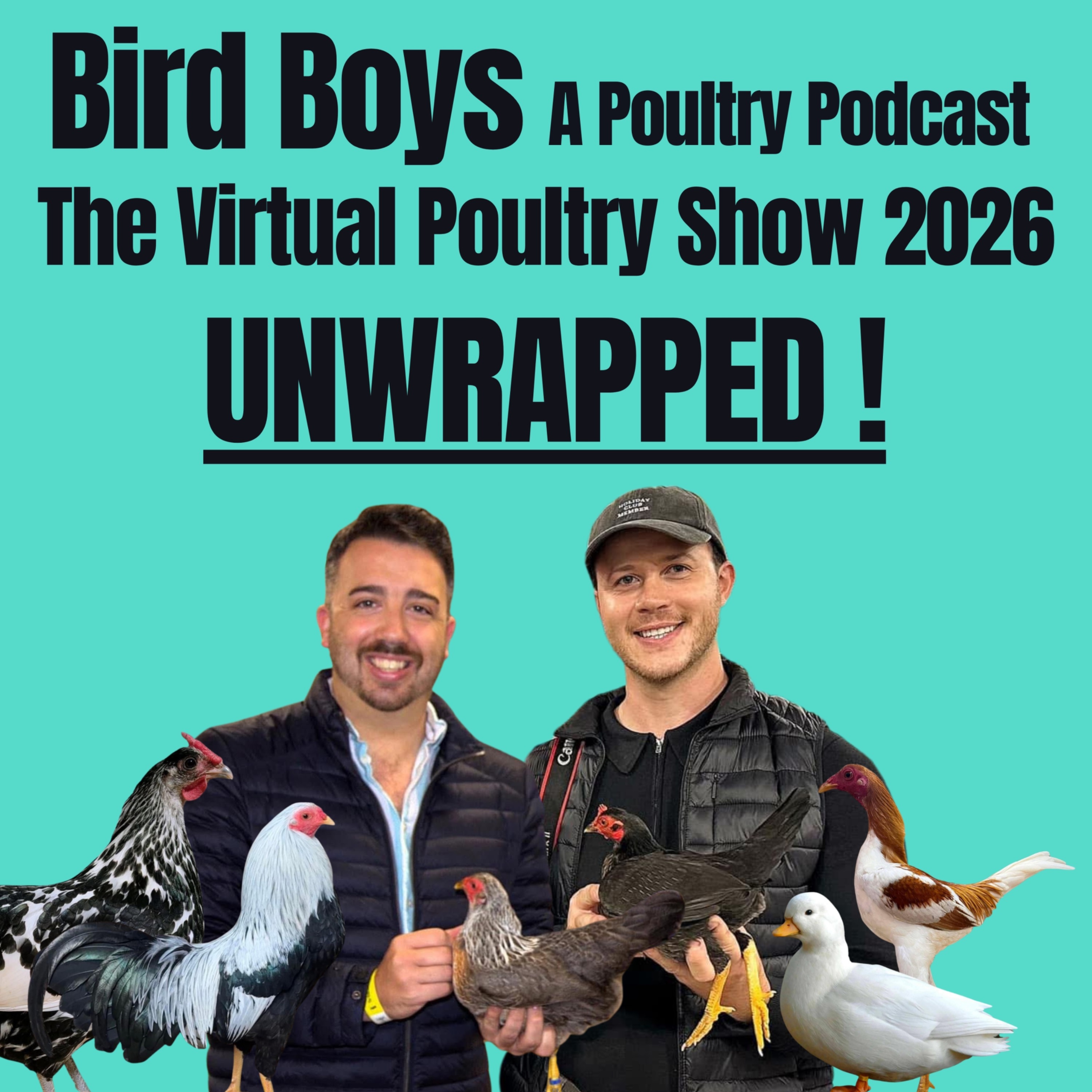 The Virtual Poultry Show 2026 - UNWRAPPED!