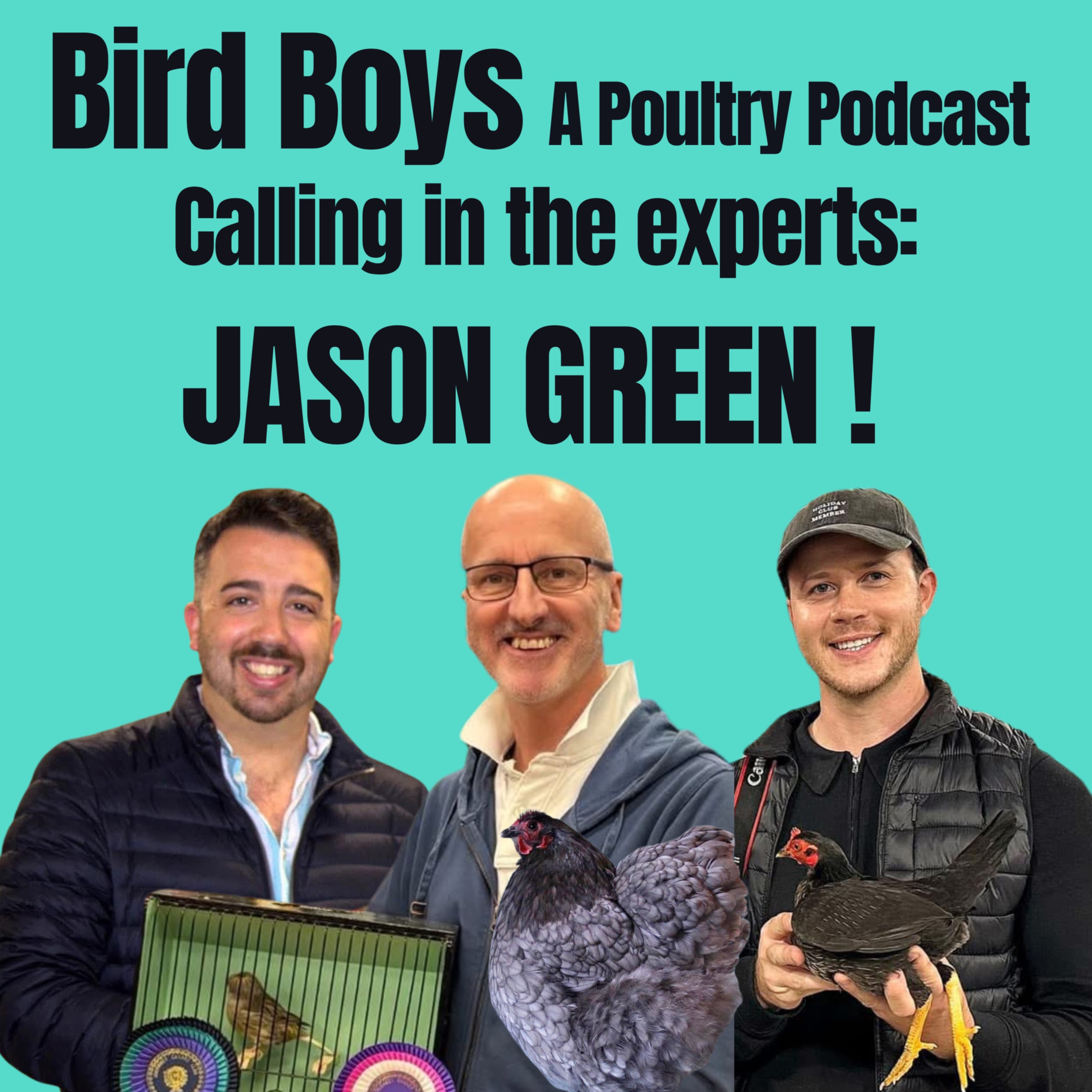 Calling in the experts: Jason Green!
