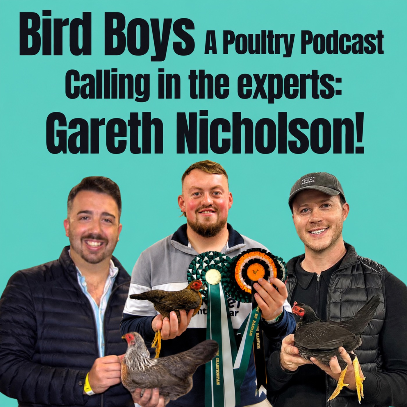 Calling in the experts: Gareth Nicholson episode artwork