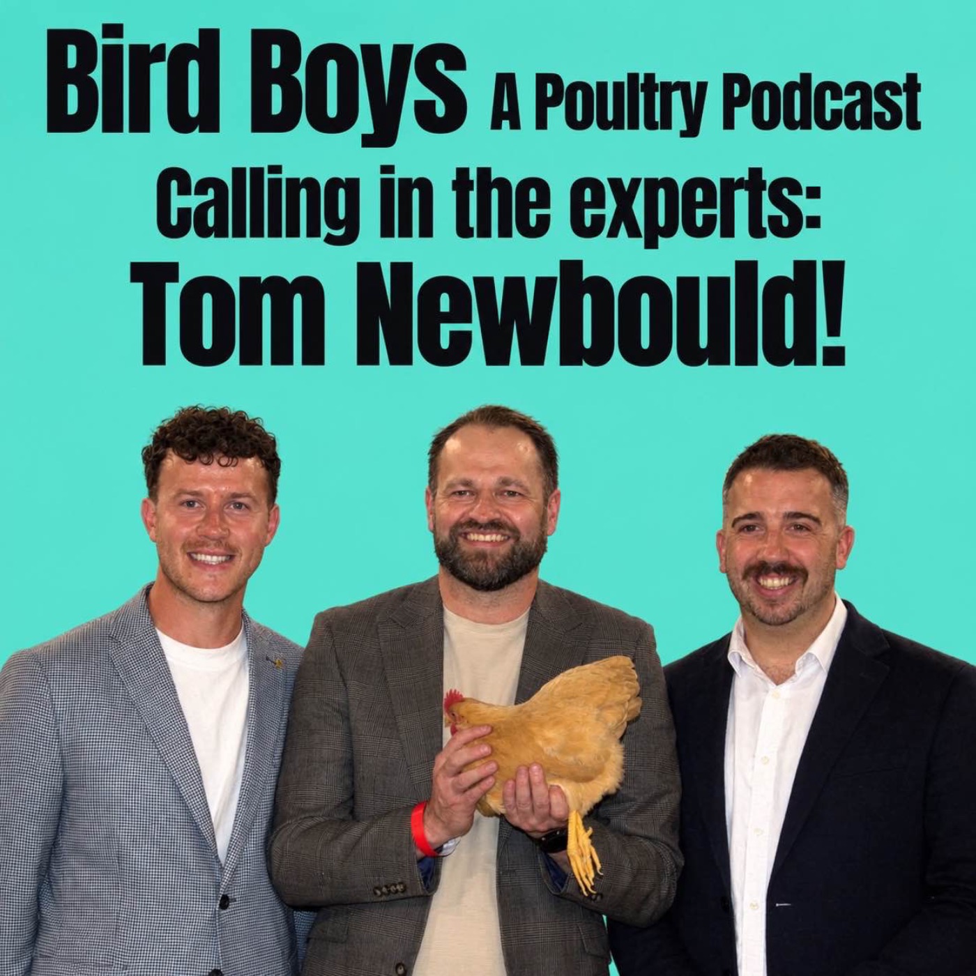 Calling in the experts: Tom Newbould! episode artwork