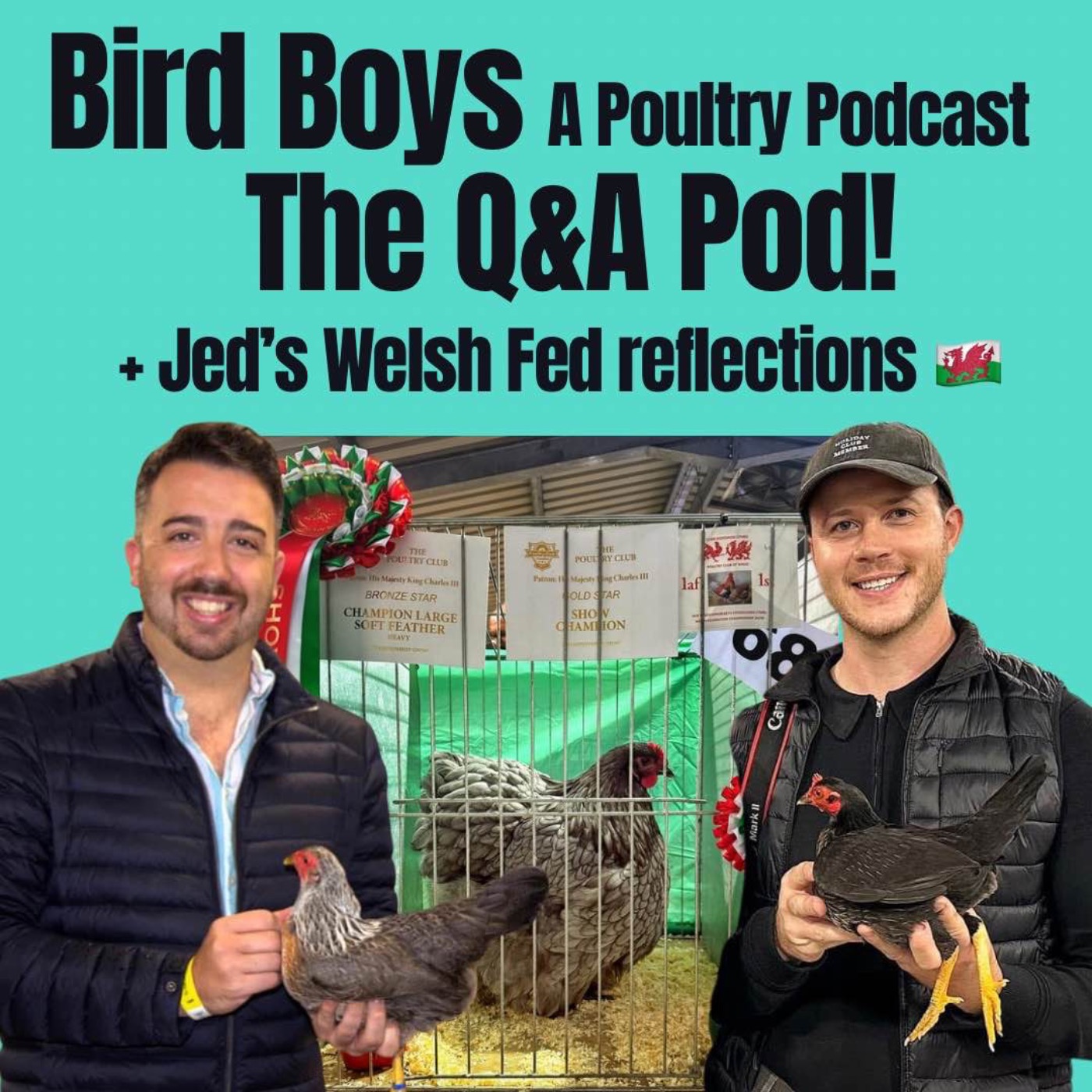 The Q&A Pod!  episode artwork