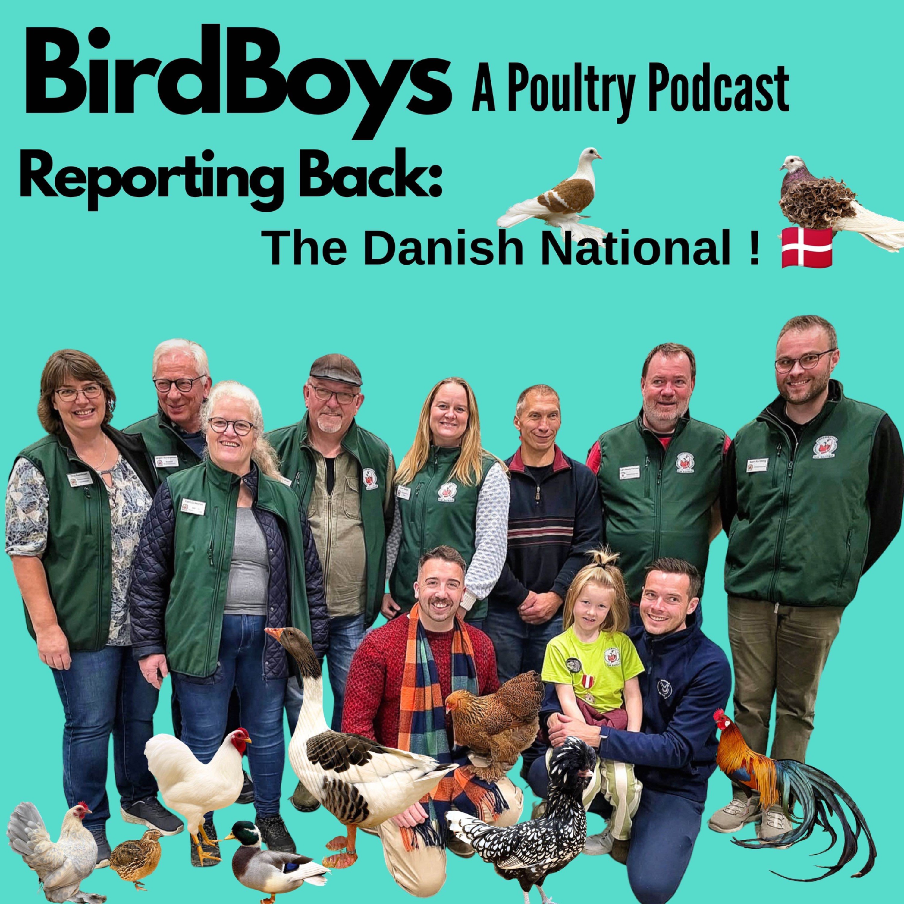 Reporting Back: The Danish National! 🇩🇰 episode artwork