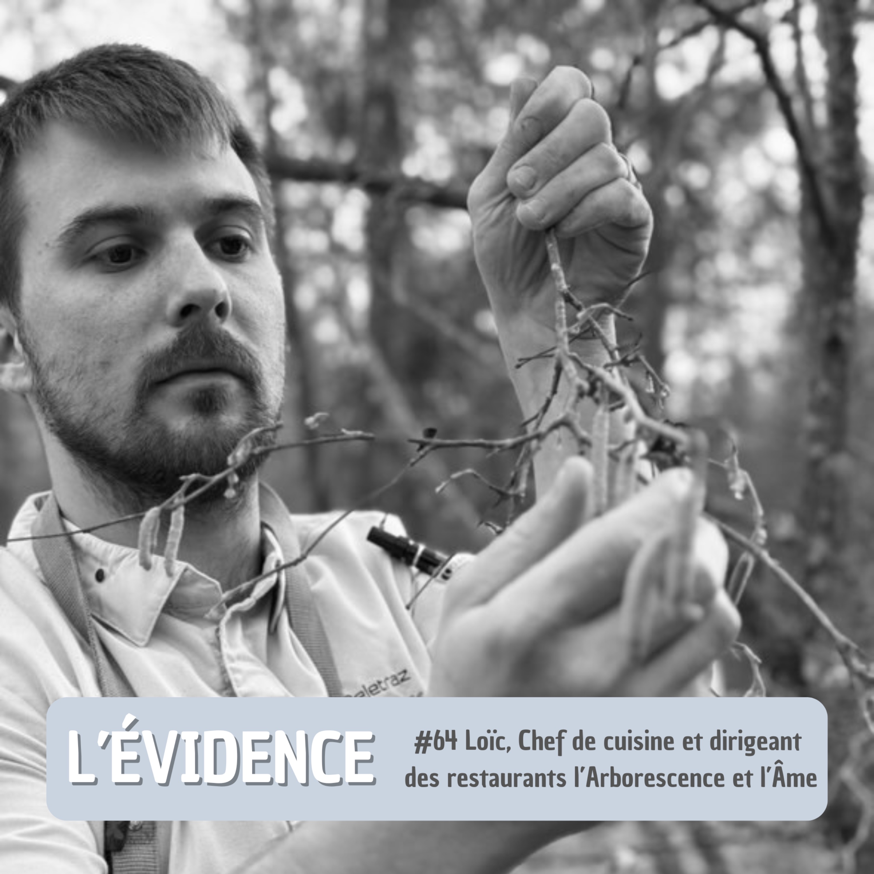 L\'Évidence