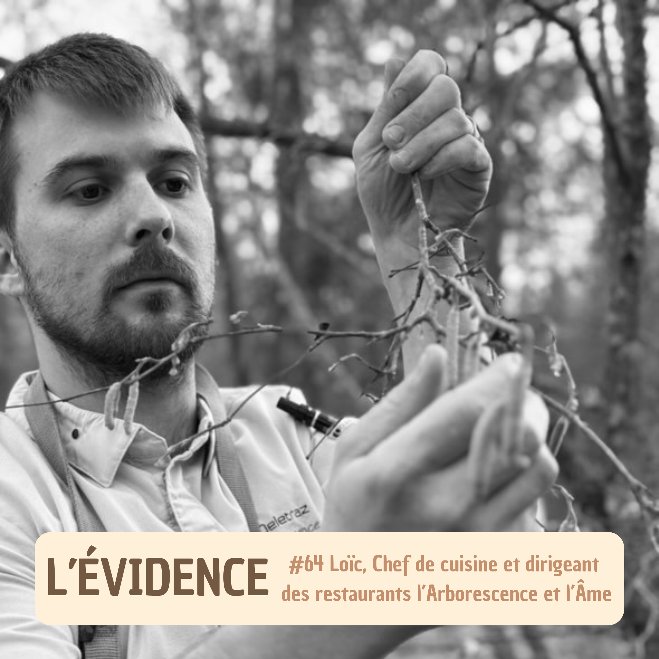 L\'Évidence