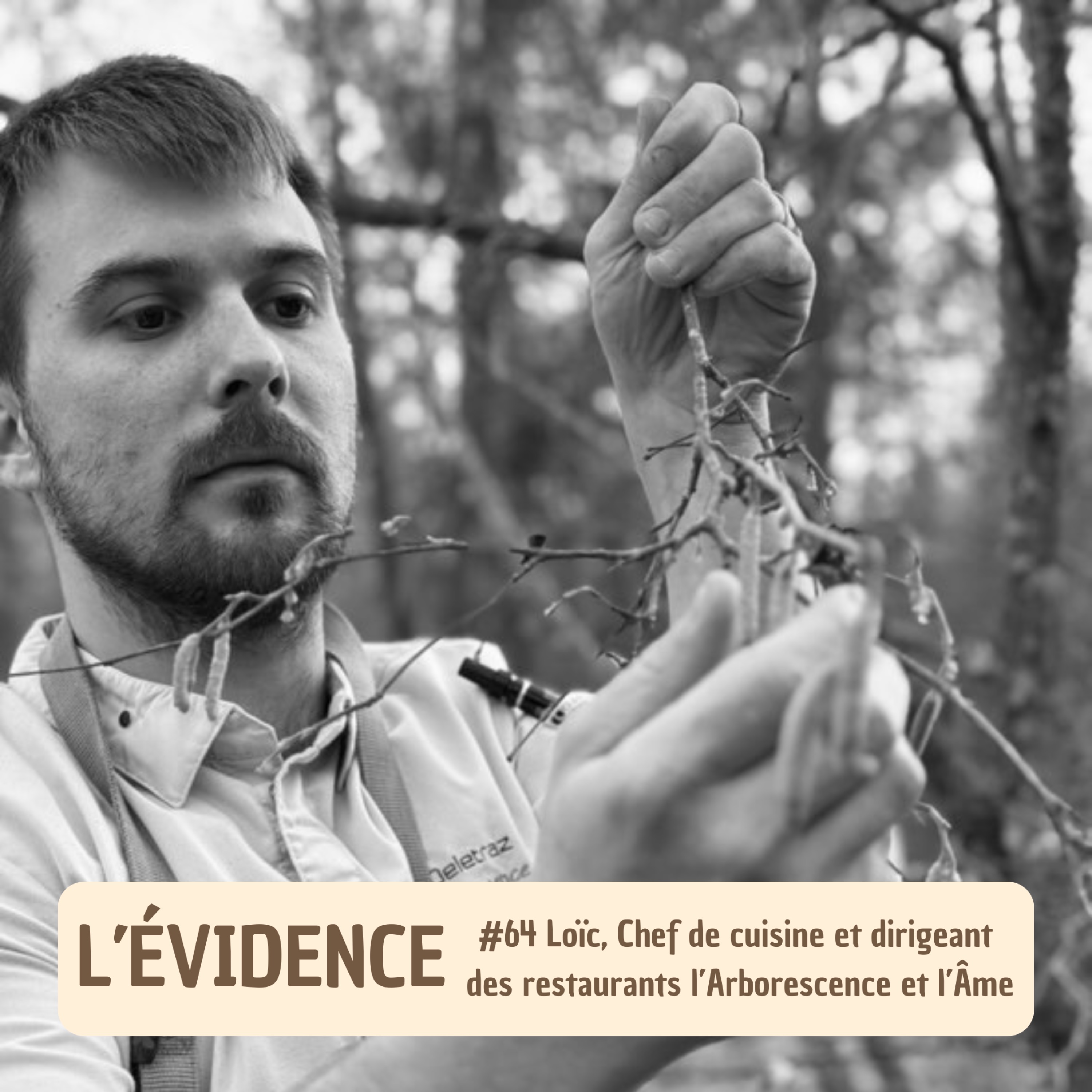 L\'Évidence