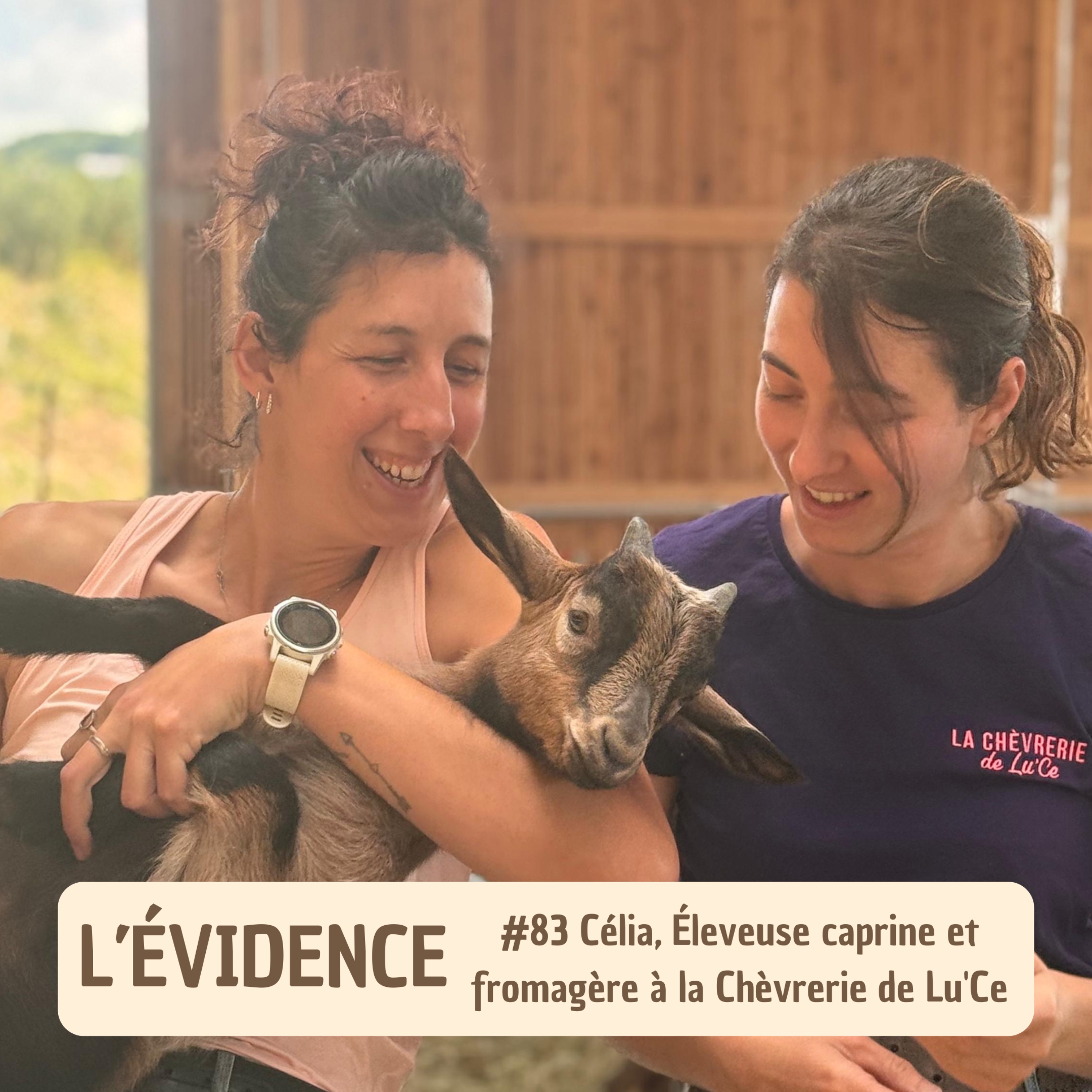 L\'Évidence