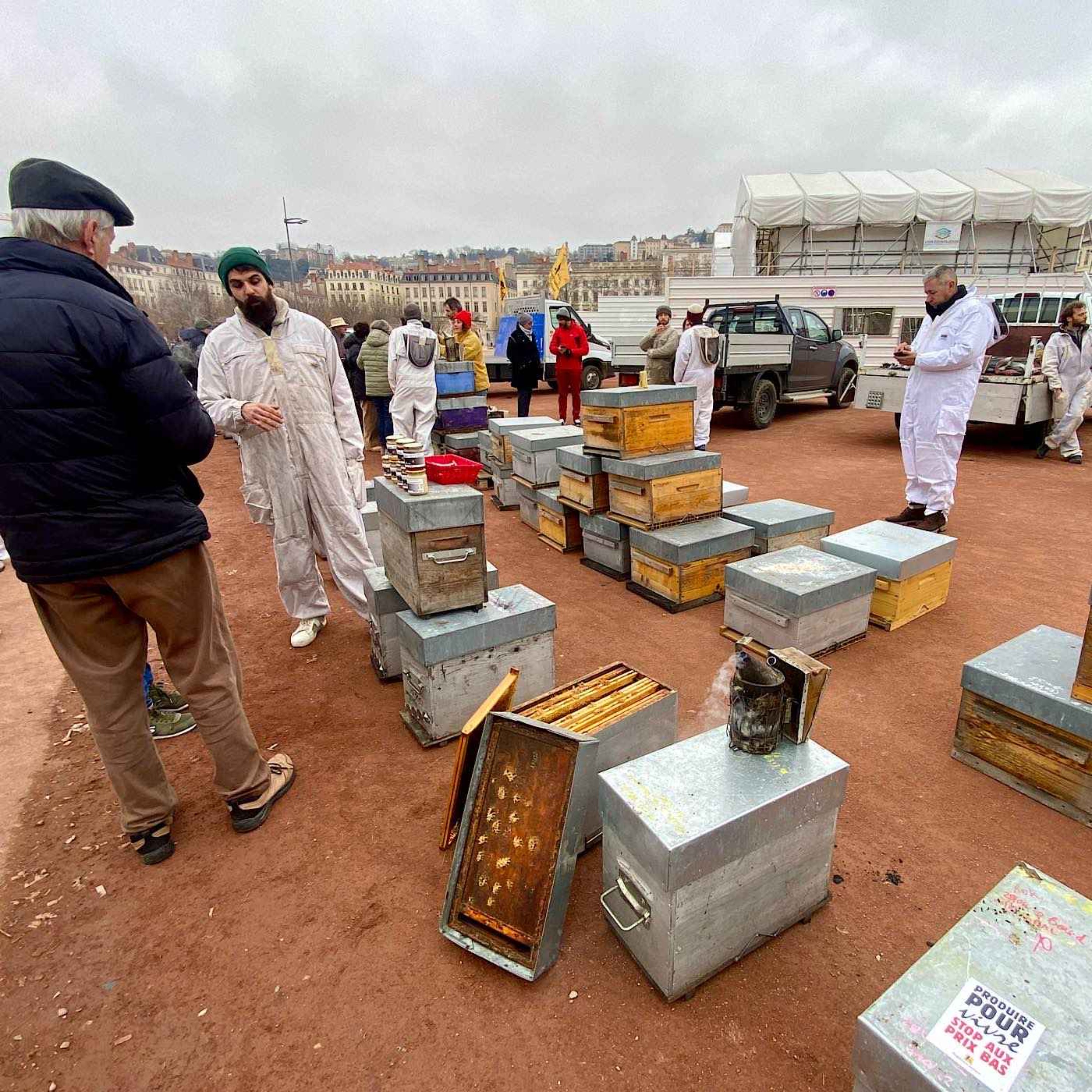 Les apiculteurs inquiets pour l'avenir de la profession