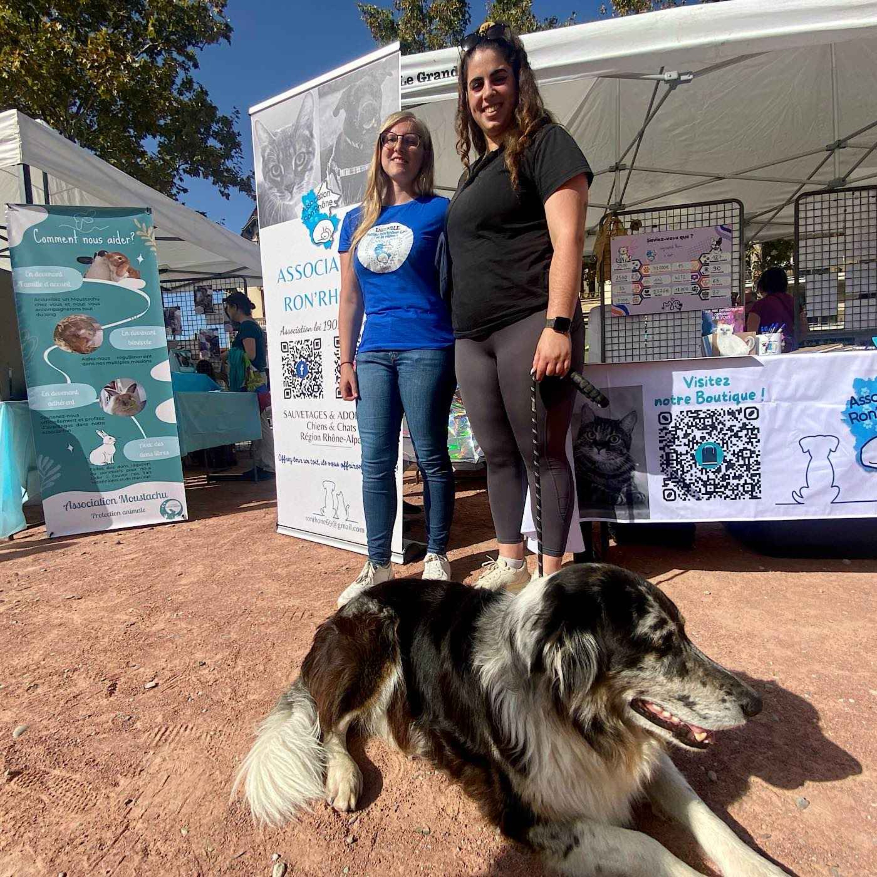 Ron'Rhône : des animaux abandonnés placés en familles d'accueil