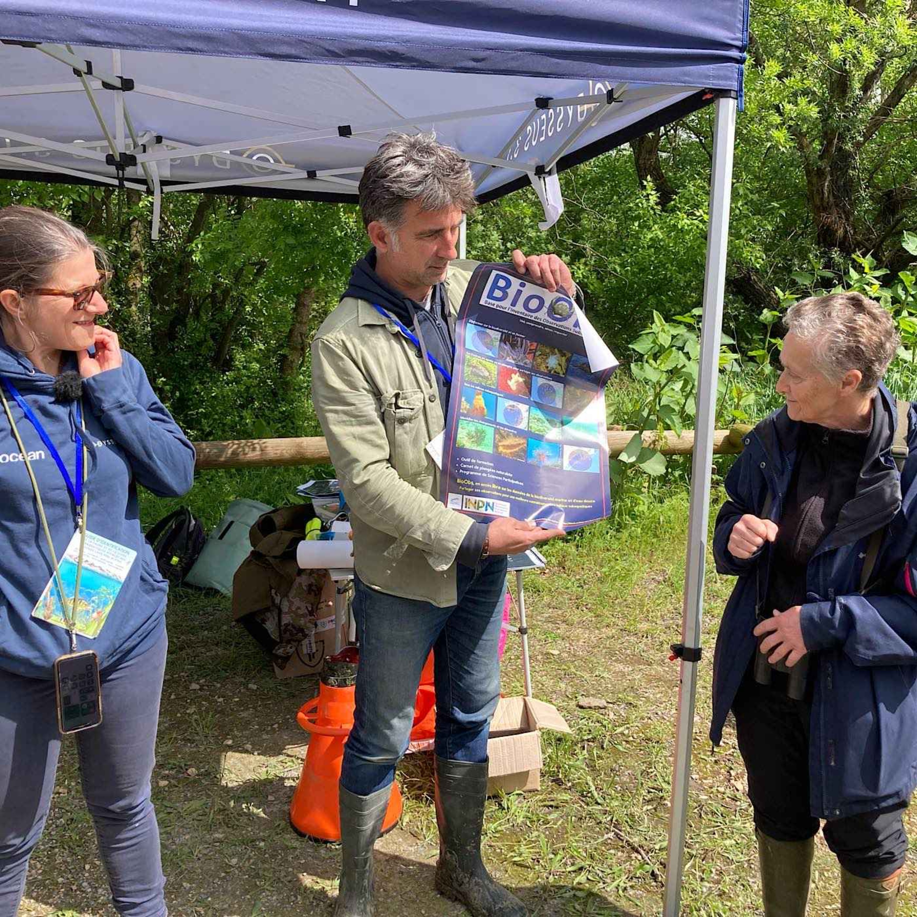 Libèrons les libellules : Anciela veut préserver les zones humides