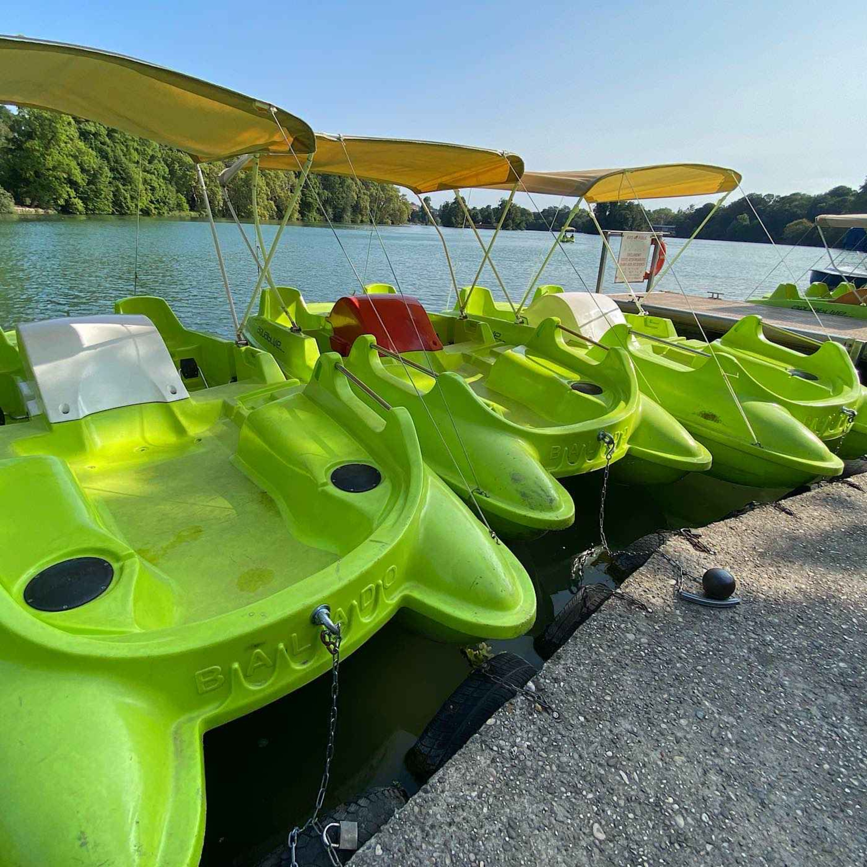 LYON DEMAIN Gérald BOUCHON