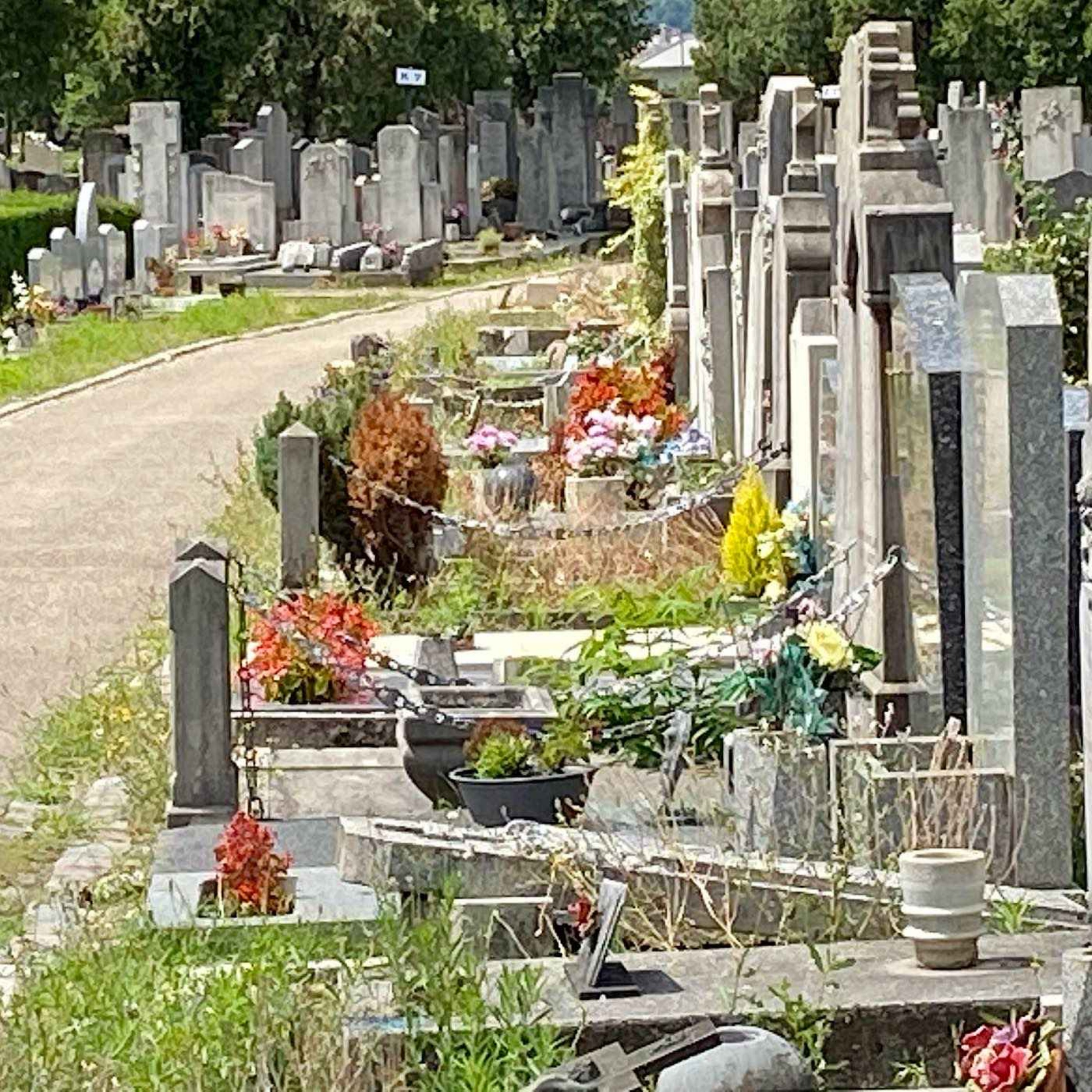 Lyon met en place une tarification sociale pour les cimetières