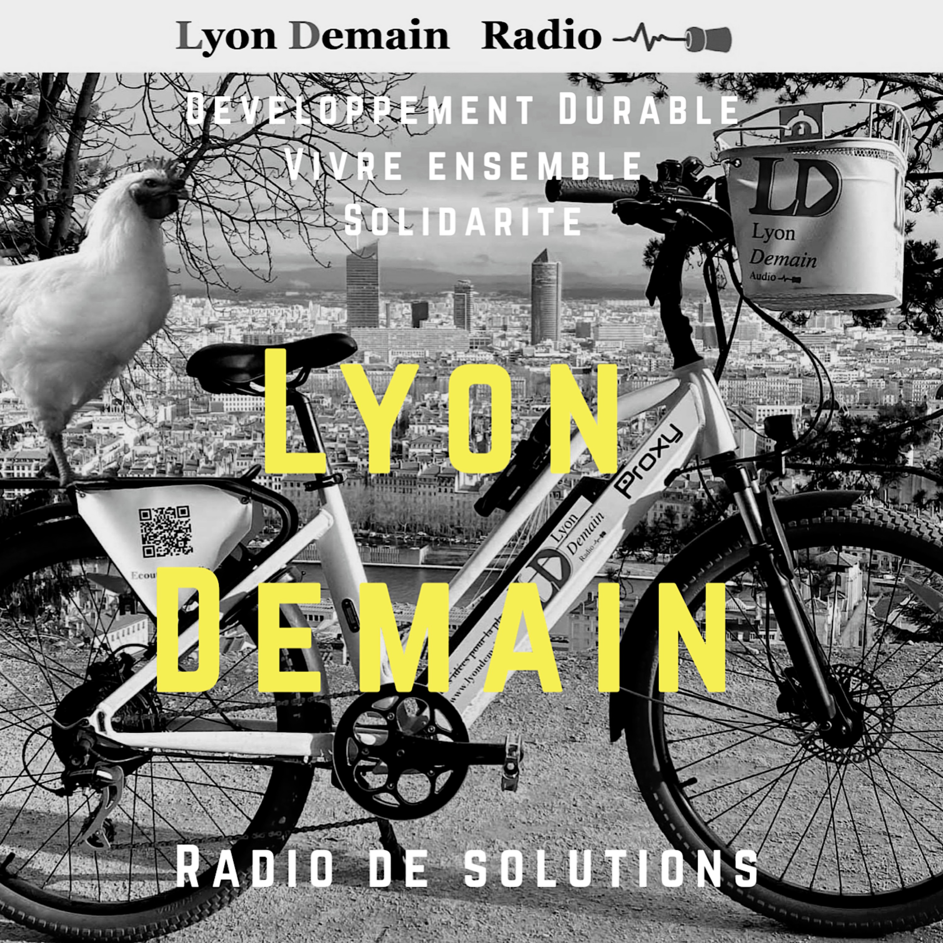LE 1/4H LYONNAIS | vendredi 21 mars 2025