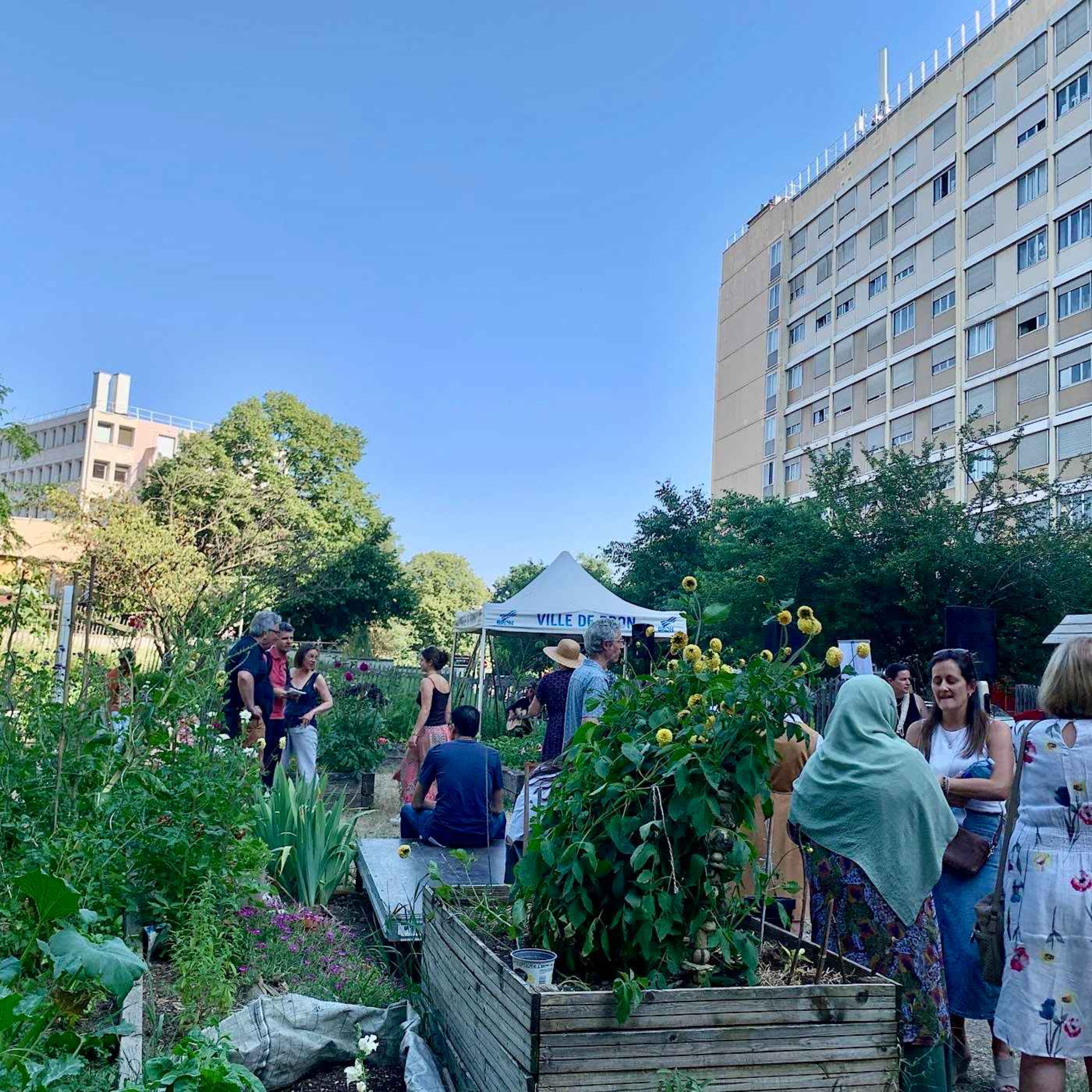 Jardin partagé de l’UC5 : une affaire de femmes