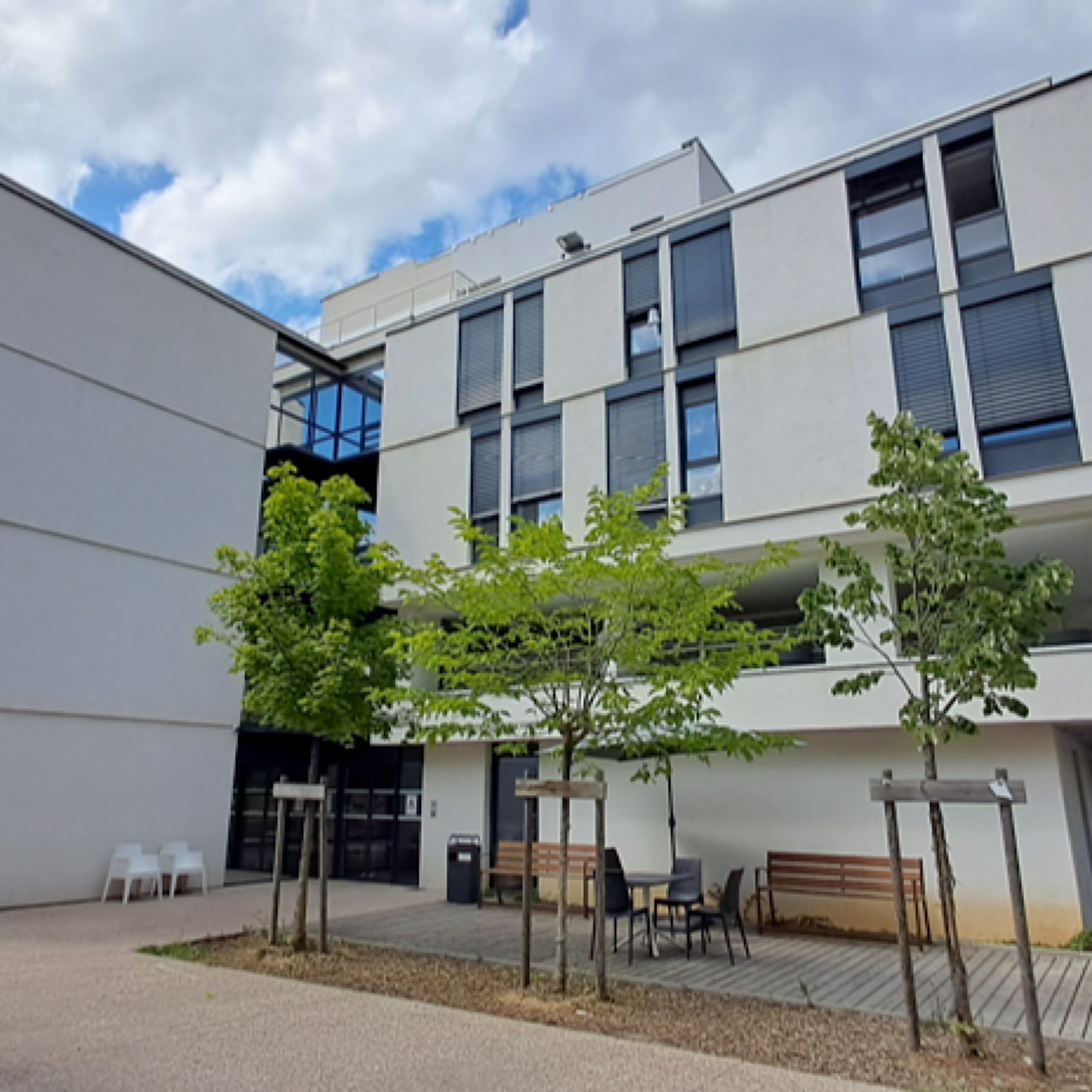 LYON DEMAIN Gérald BOUCHON