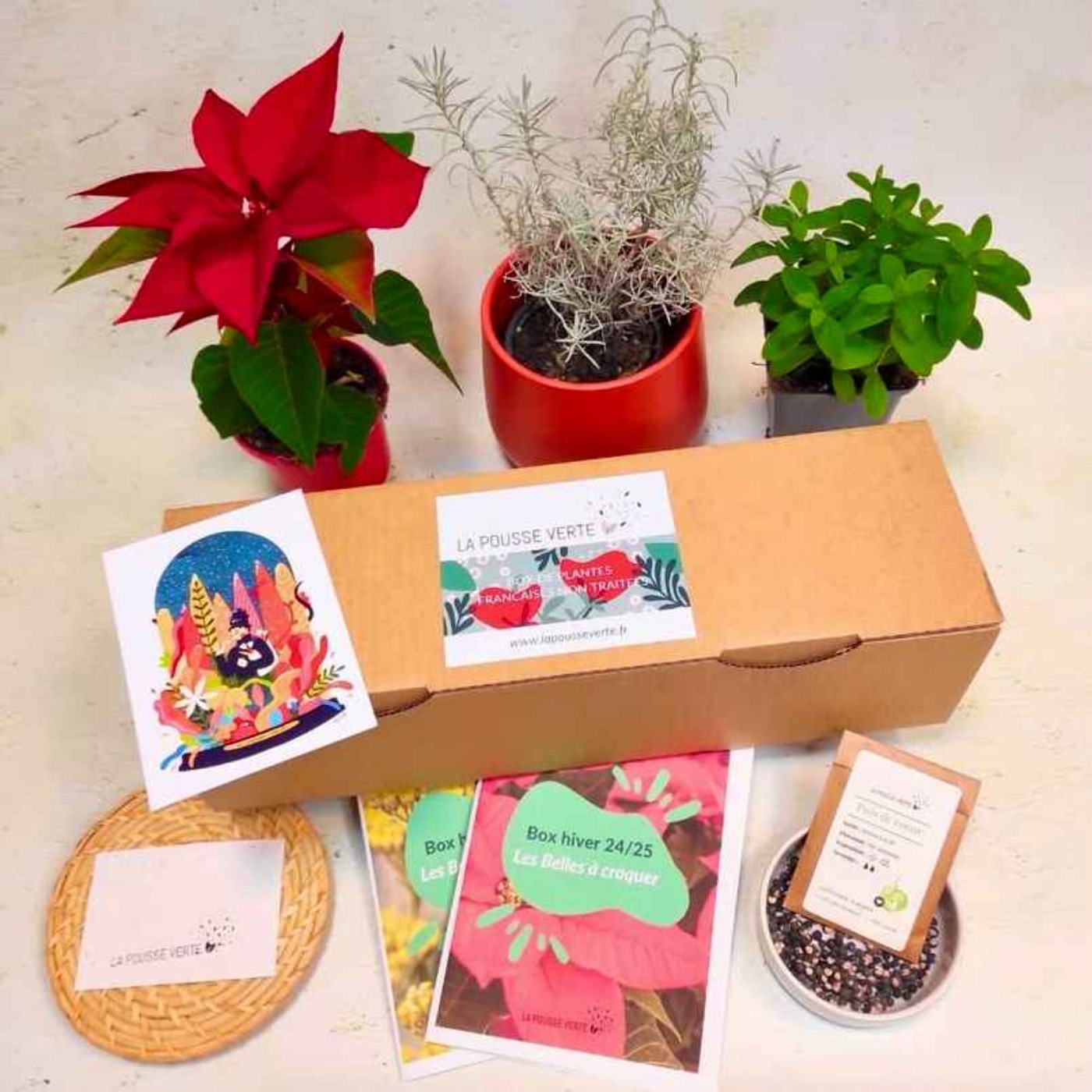 LYON DEMAIN Gérald BOUCHON