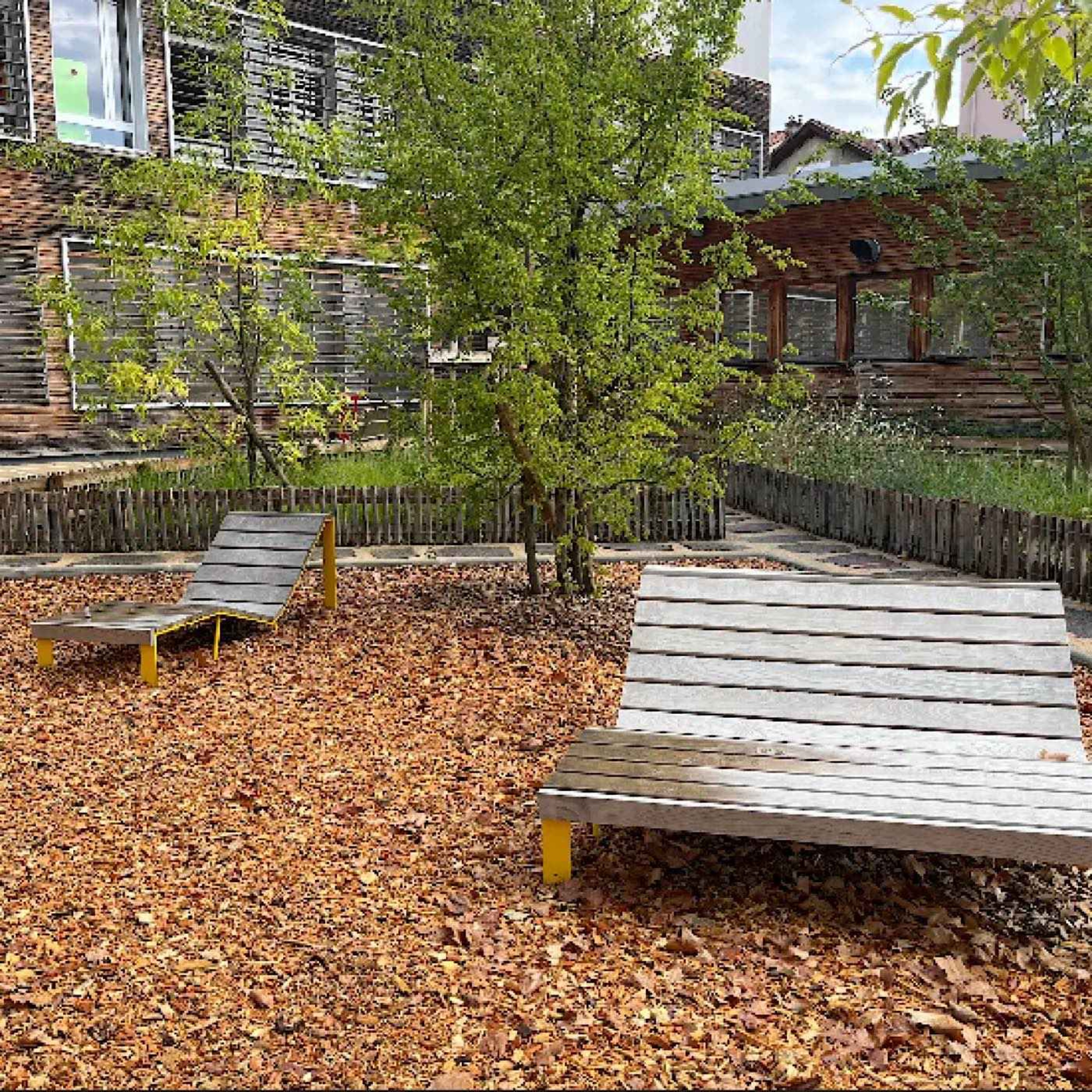 Villeurbanne : l’école Jules-Ferry inaugure sa cour végétalisée