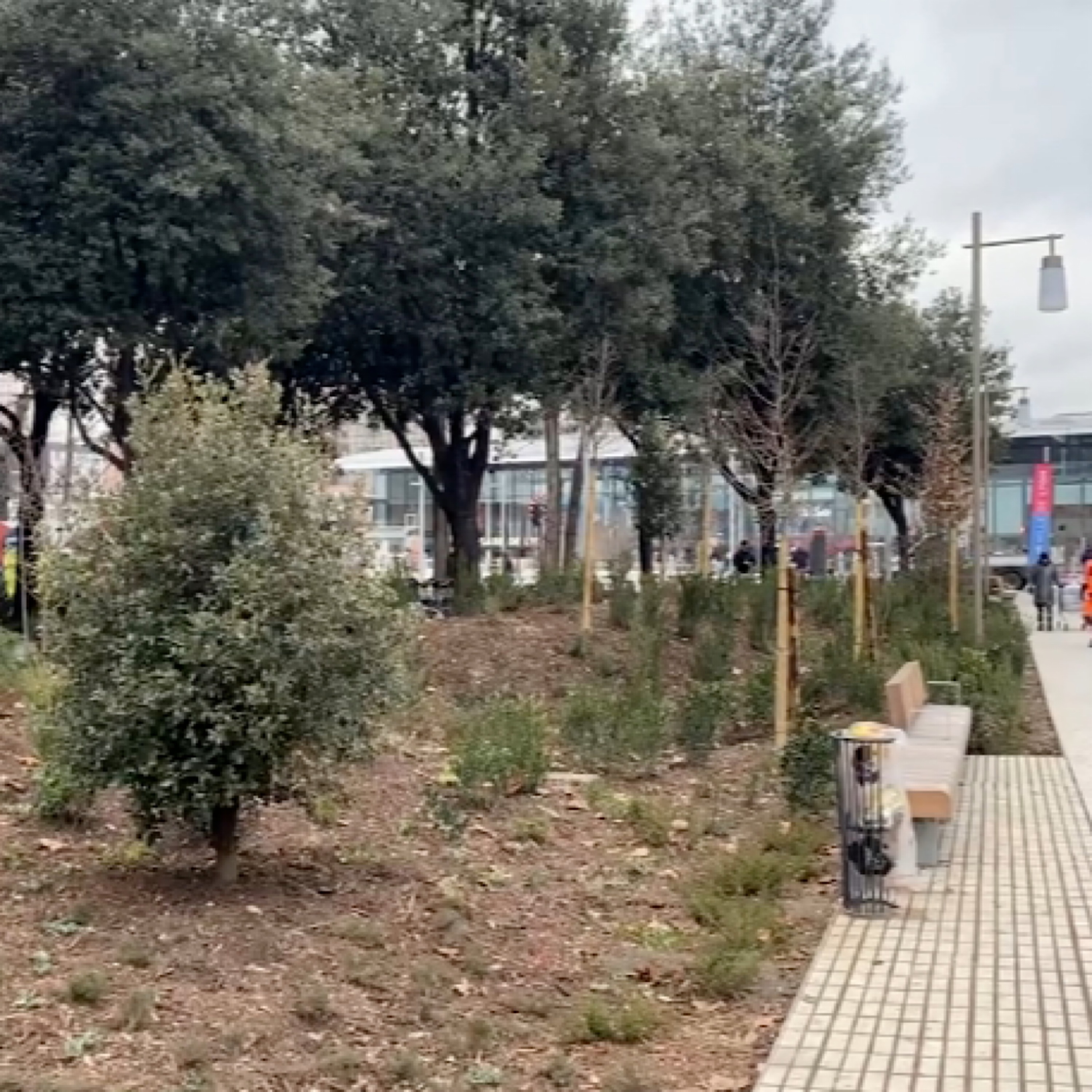 Bois de la Part-Dieu : la première tranche livrée...