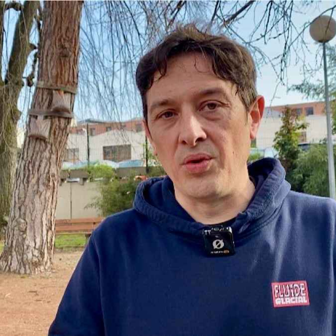 Chenilles processionnaires : attention danger !