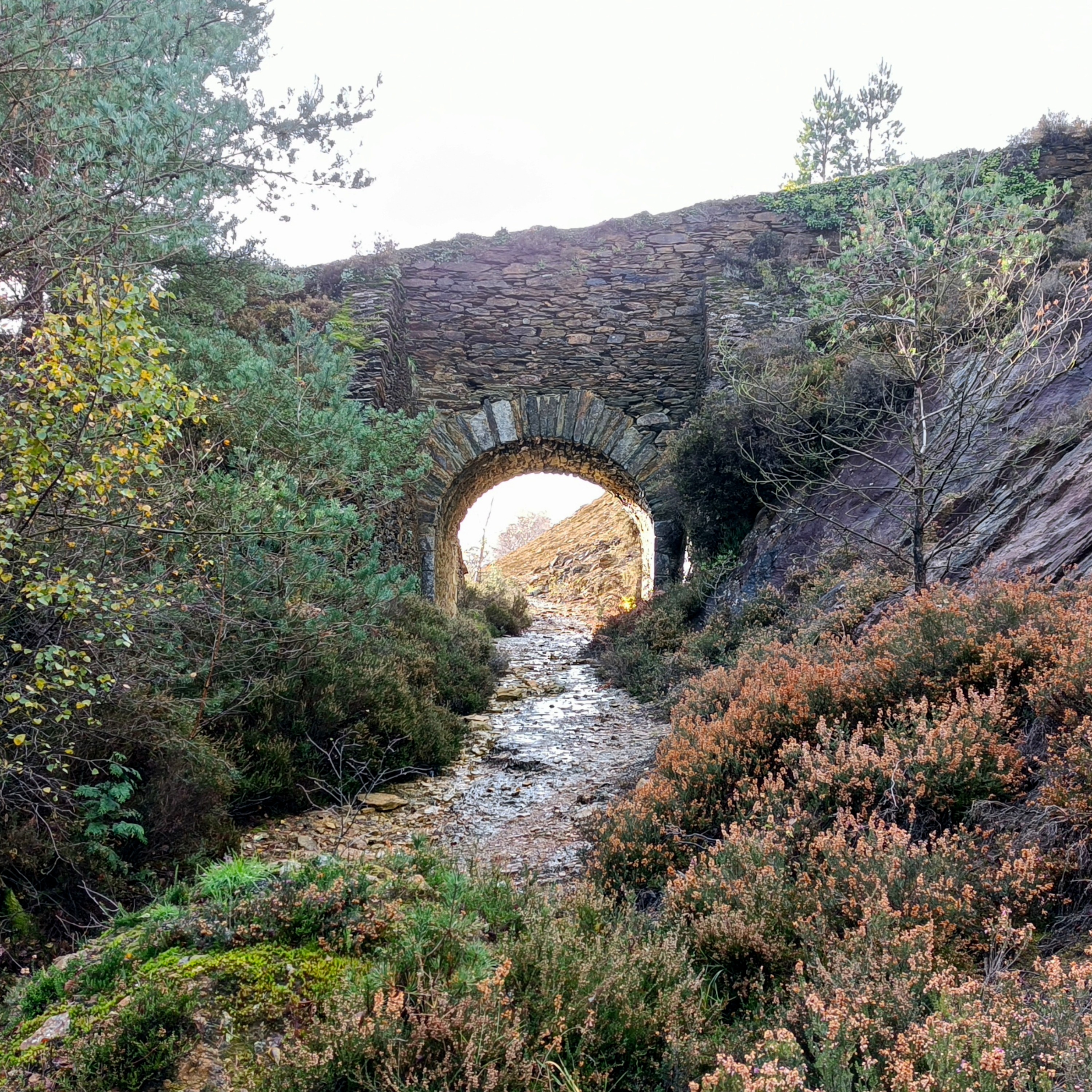 Avoca Mines