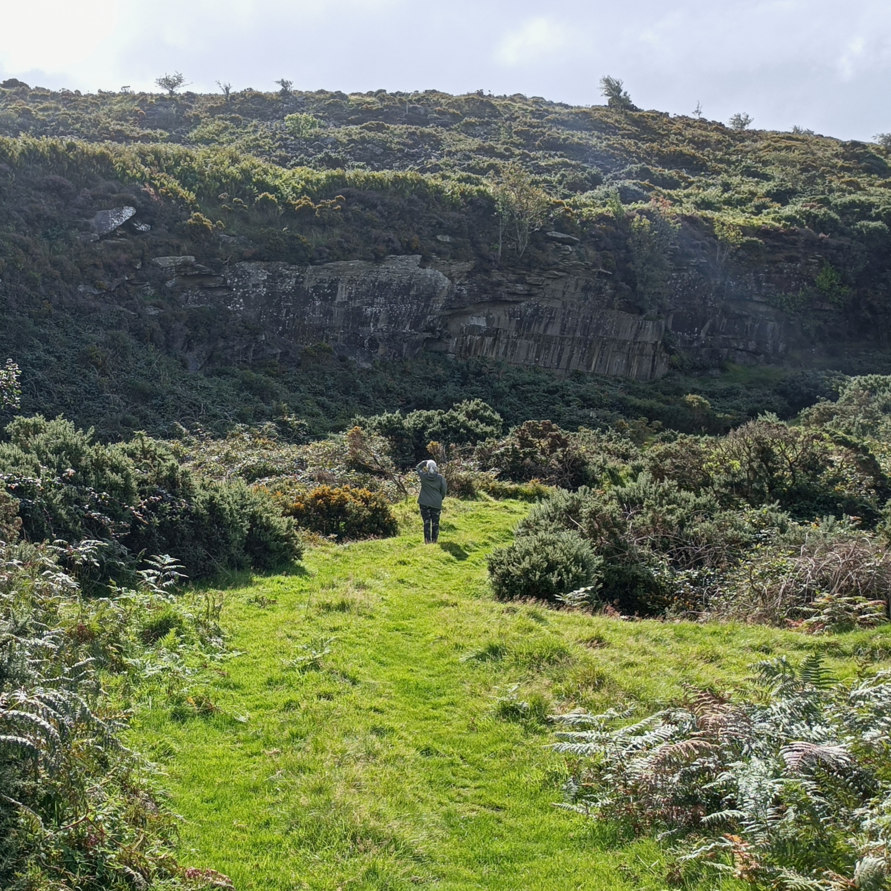 Tinakilly Quarry