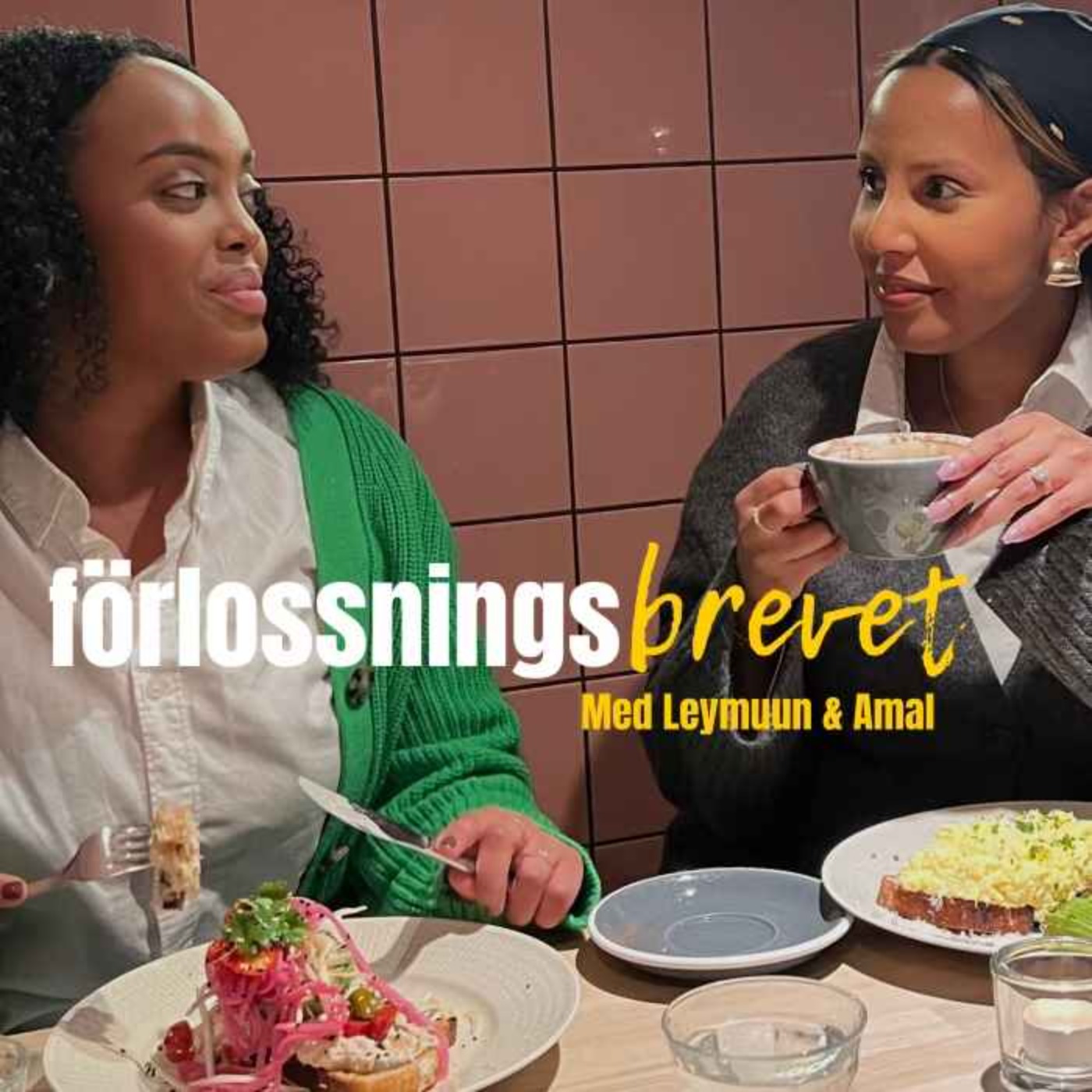 Vad är ett förlossningsbrev? episode artwork