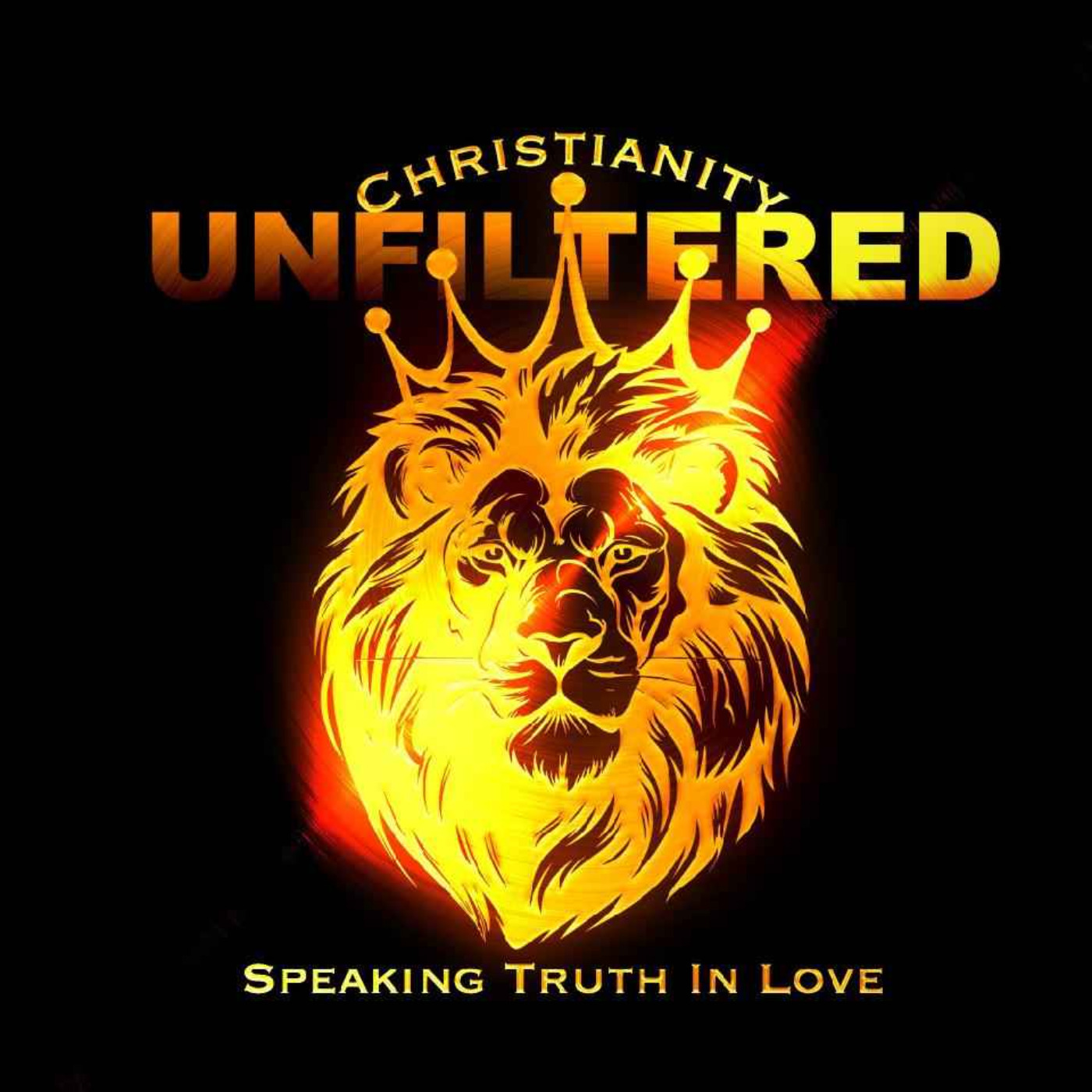 cover art for Introducing Christianity Unfiltered